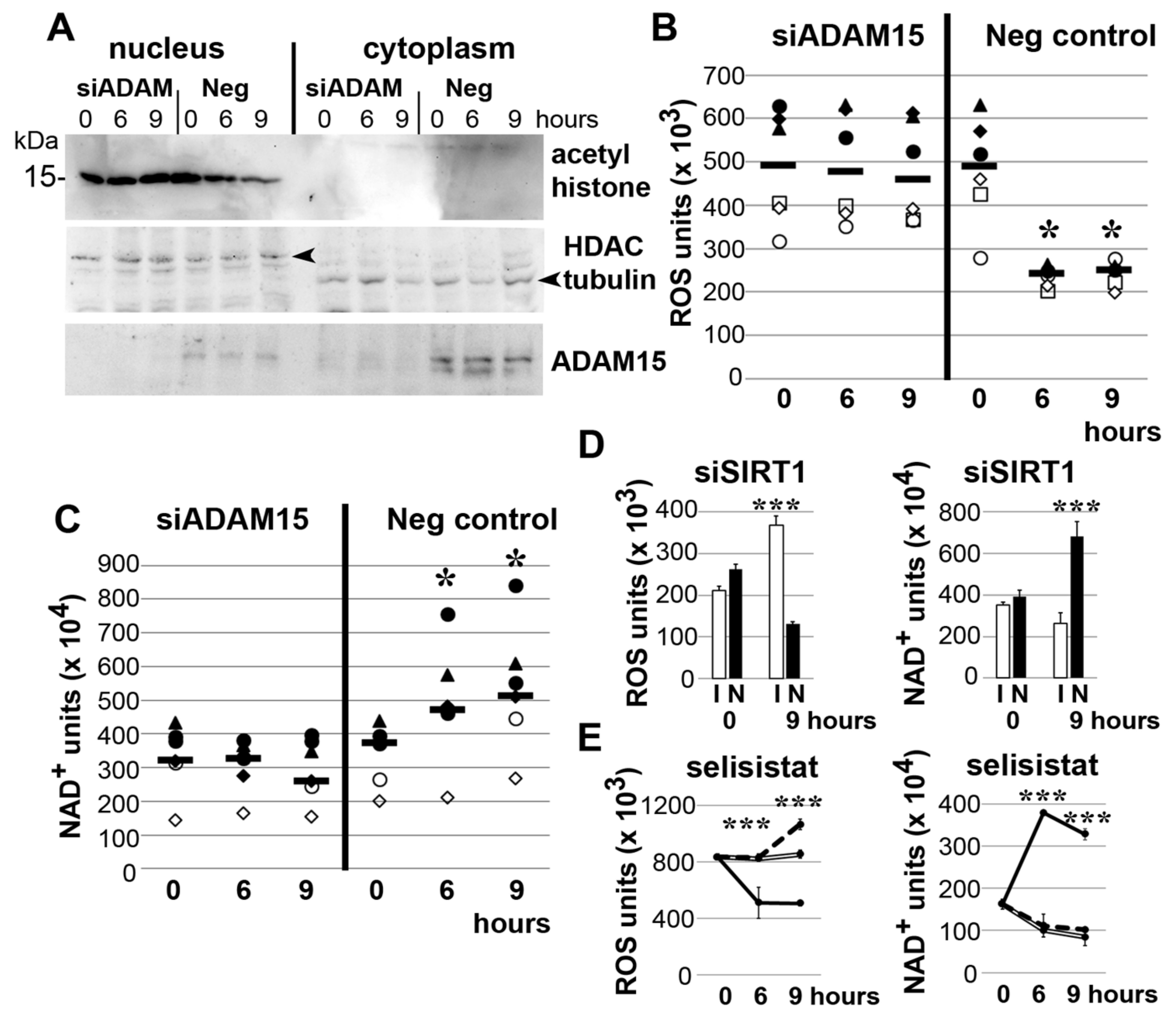 Cells 10 02705 g003 Cells 10 02705 g003