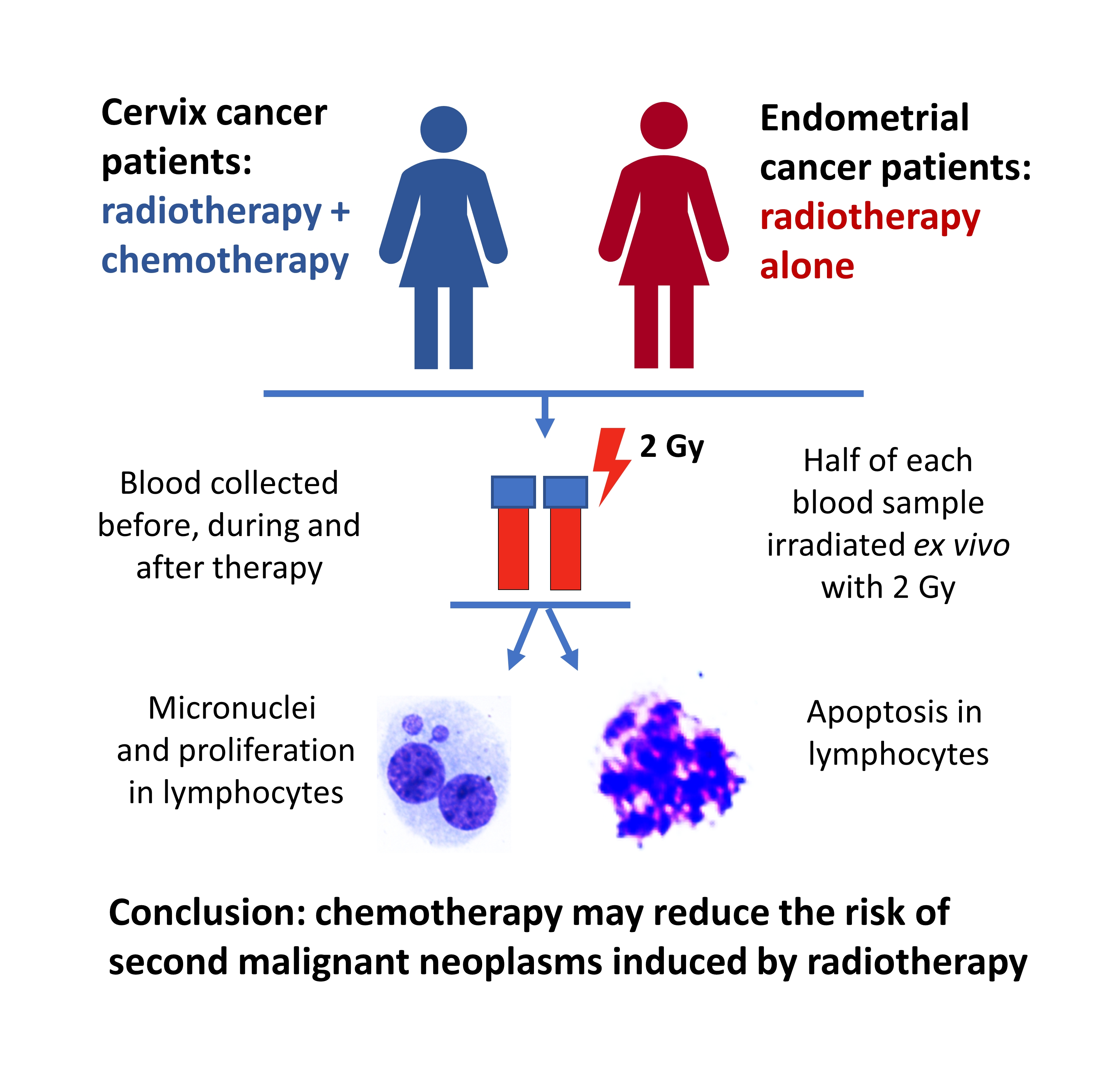 Cells | Free Full-Text | Cisplatin Reduces the Frequencies of Radiotherapy-Induced  Micronuclei in Peripheral Blood Lymphocytes of Patients with Gynaecological  Cancer: Possible Implications for the Risk of Second Malignant Neoplasms |  HTML