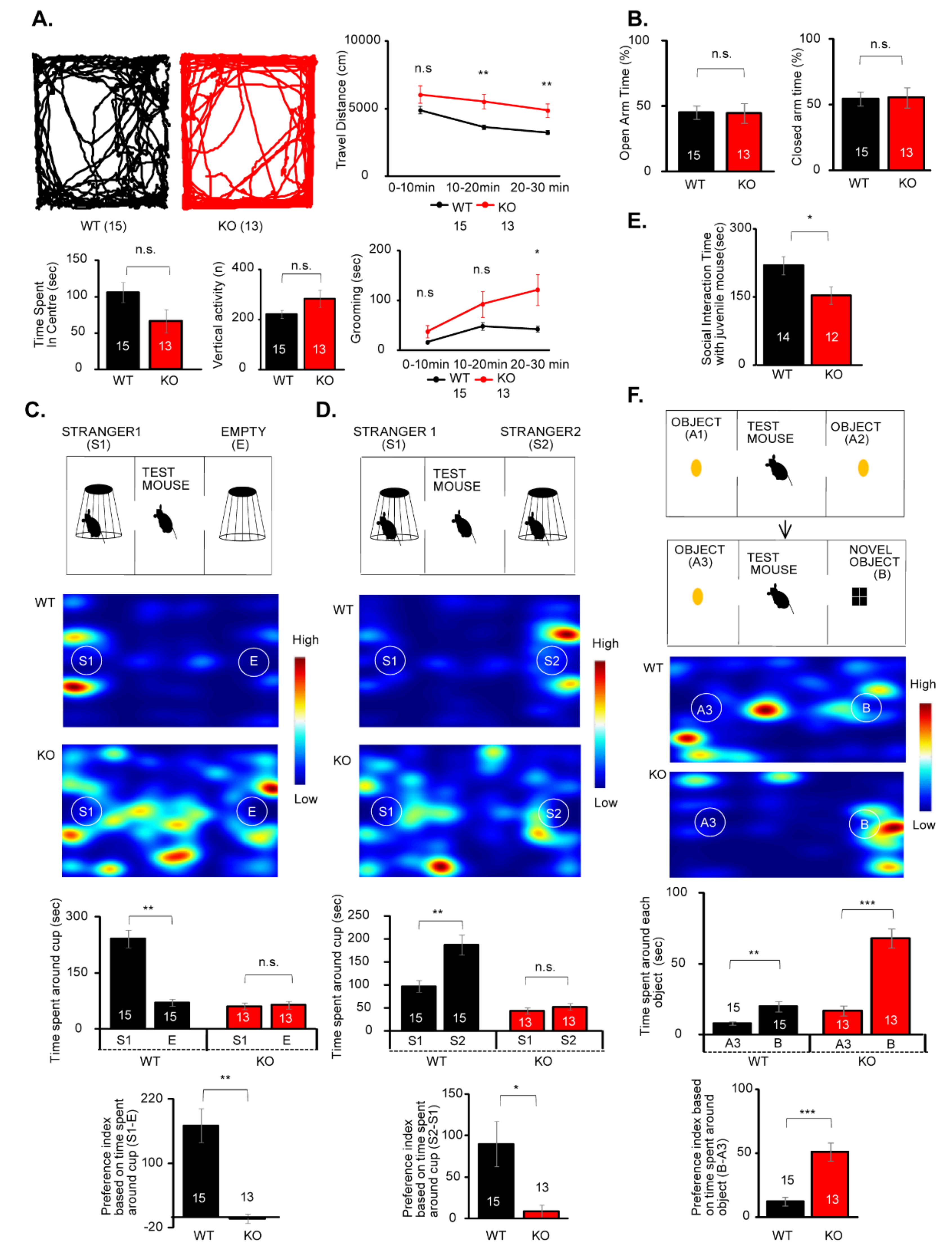 Cells Free Full Text Iqsec2 Deficiency Results In Abnormal Social Behaviors Relevant To Autism By Affecting Functions Of Neural Circuits In The Medial Prefrontal Cortex Html