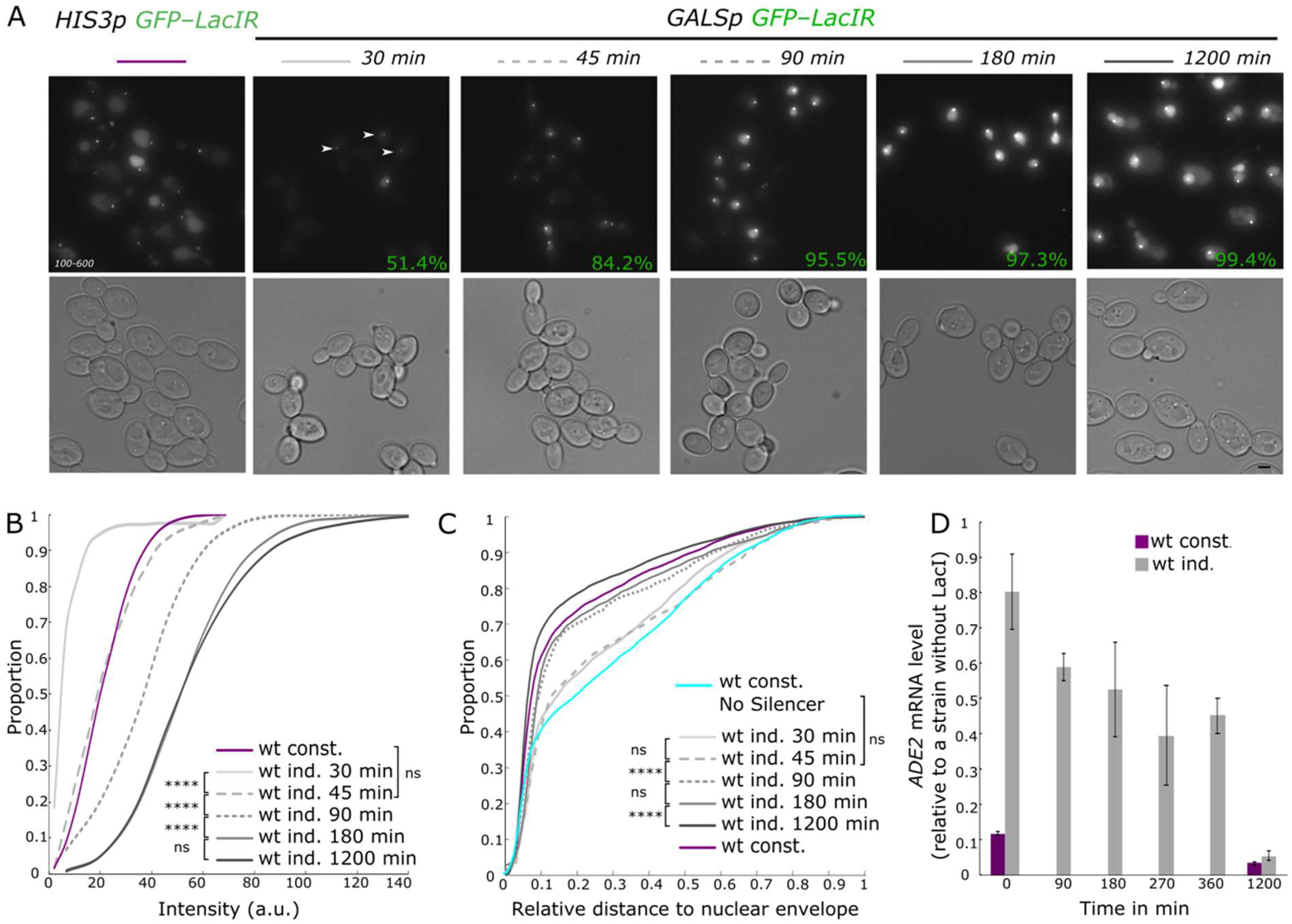 Cells 10 02810 g002 Cells 10 02810 g002