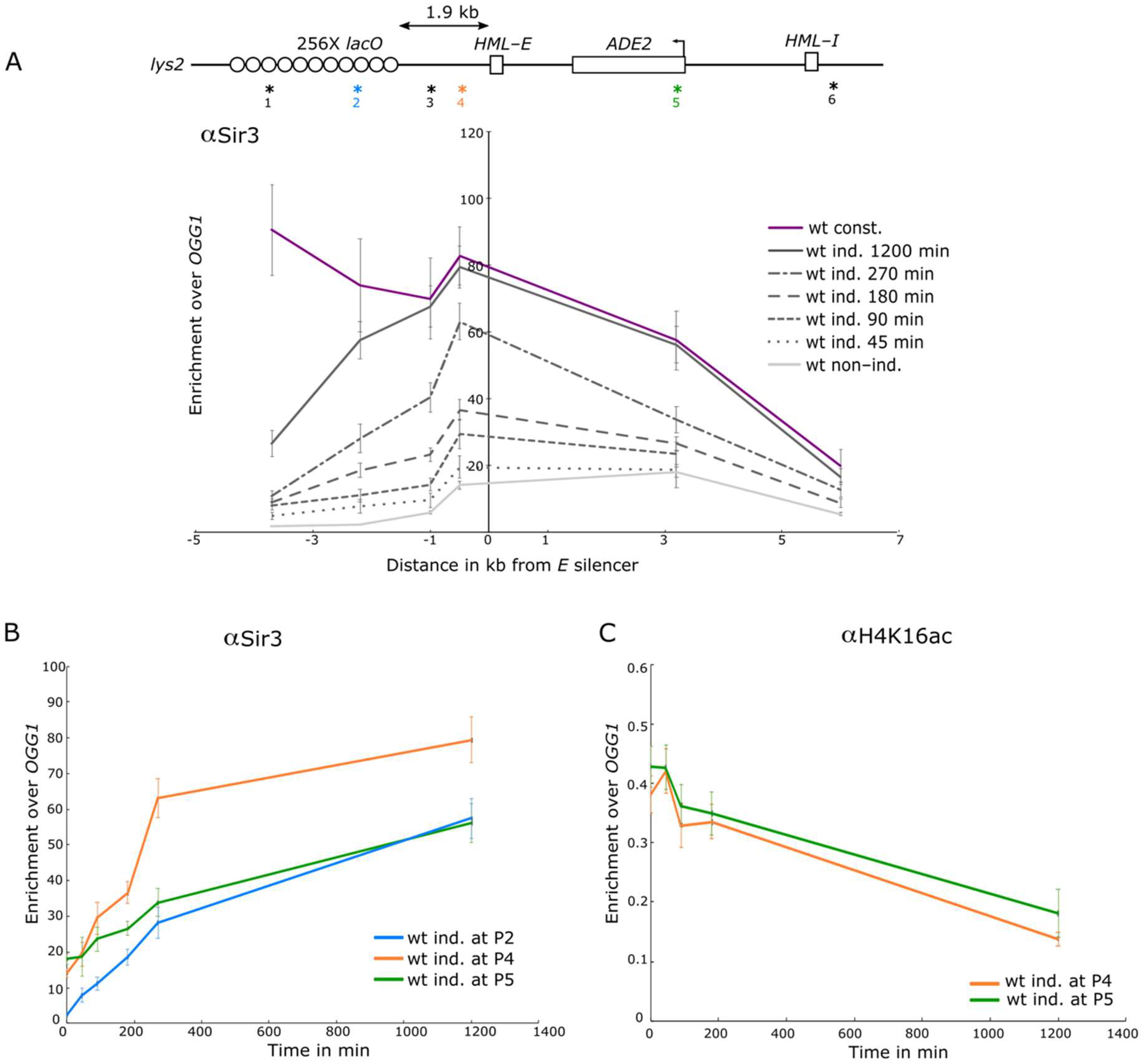 Cells 10 02810 g003 Cells 10 02810 g003