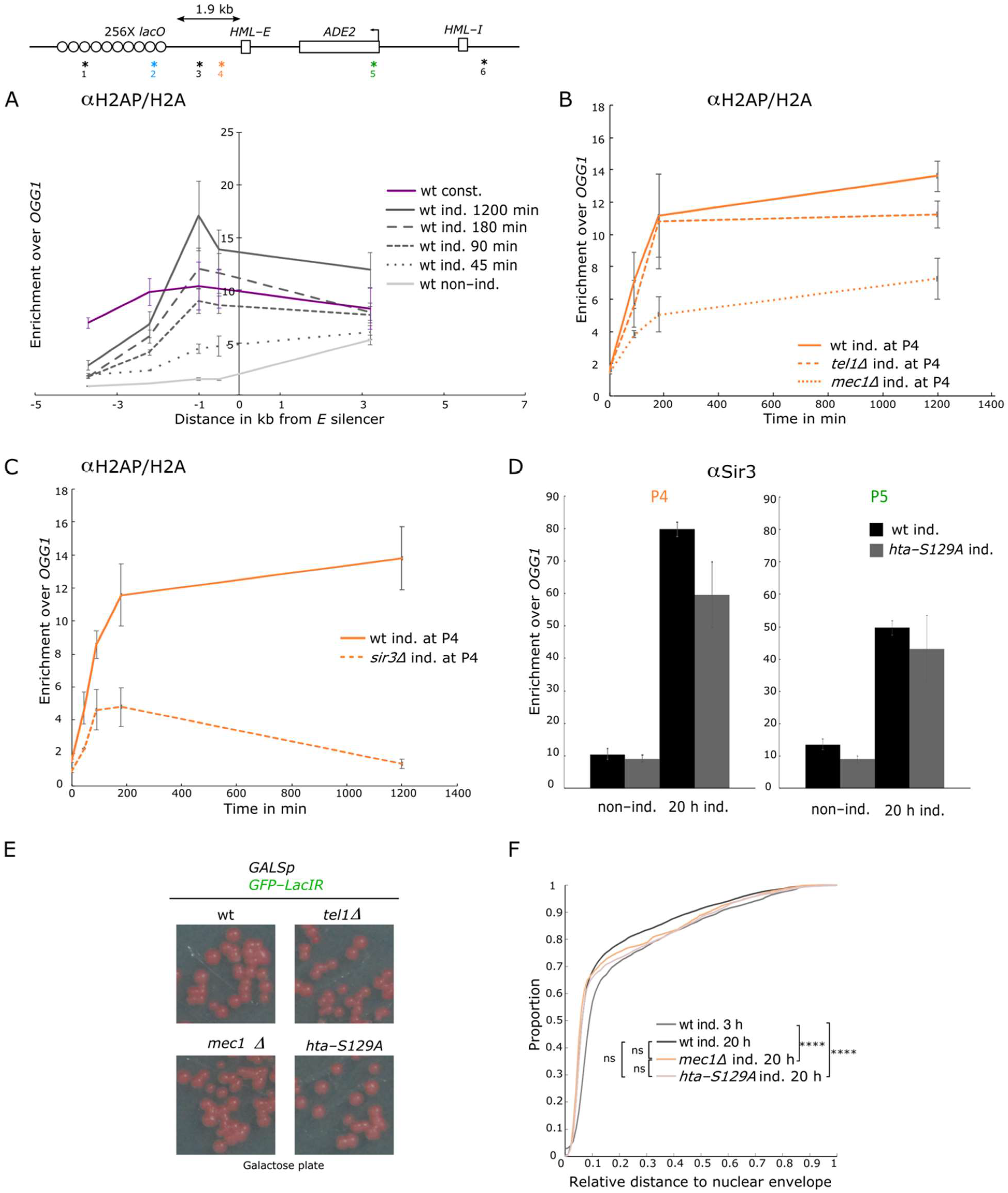 Cells 10 02810 g005 Cells 10 02810 g005