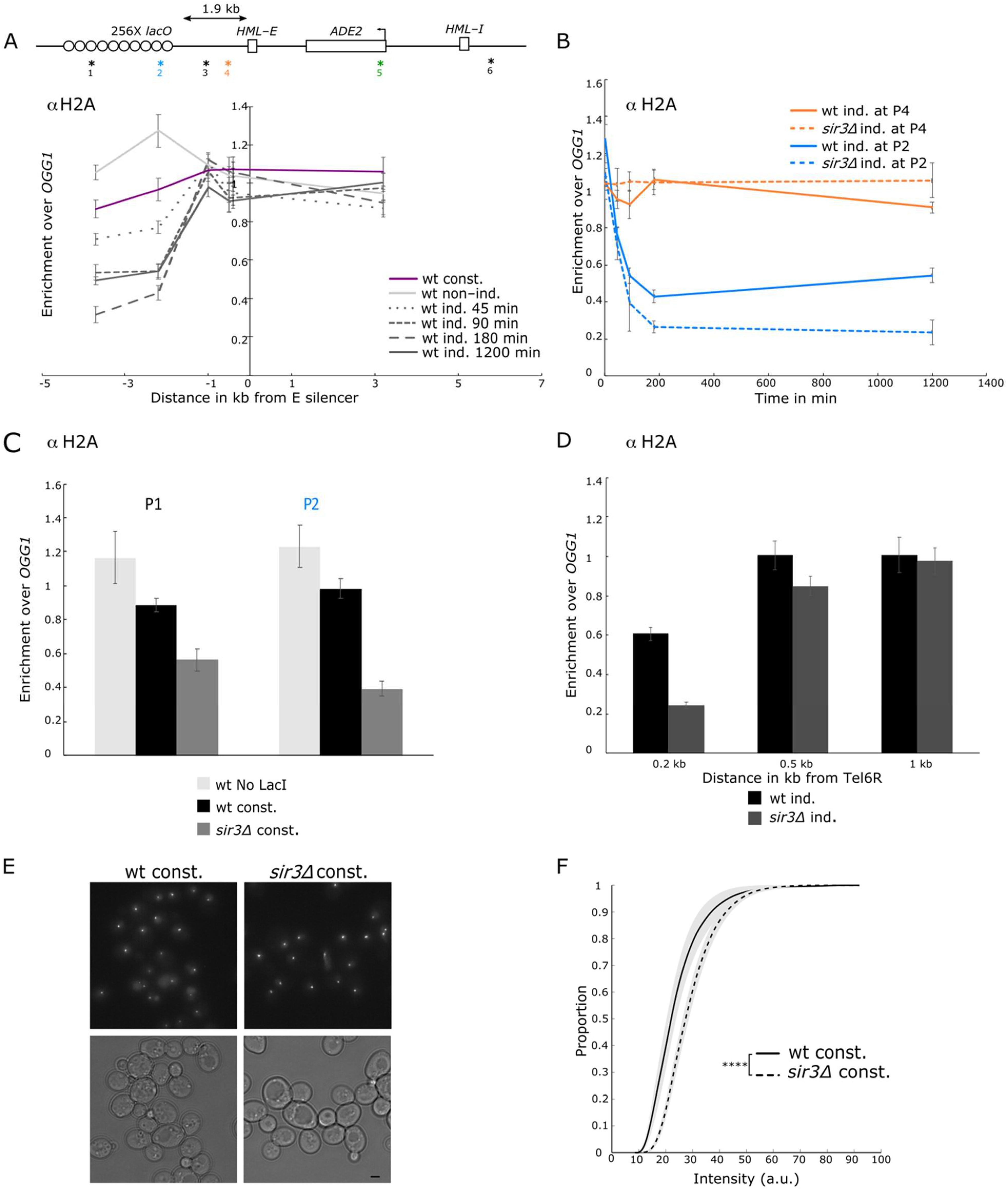 Cells 10 02810 g006 Cells 10 02810 g006