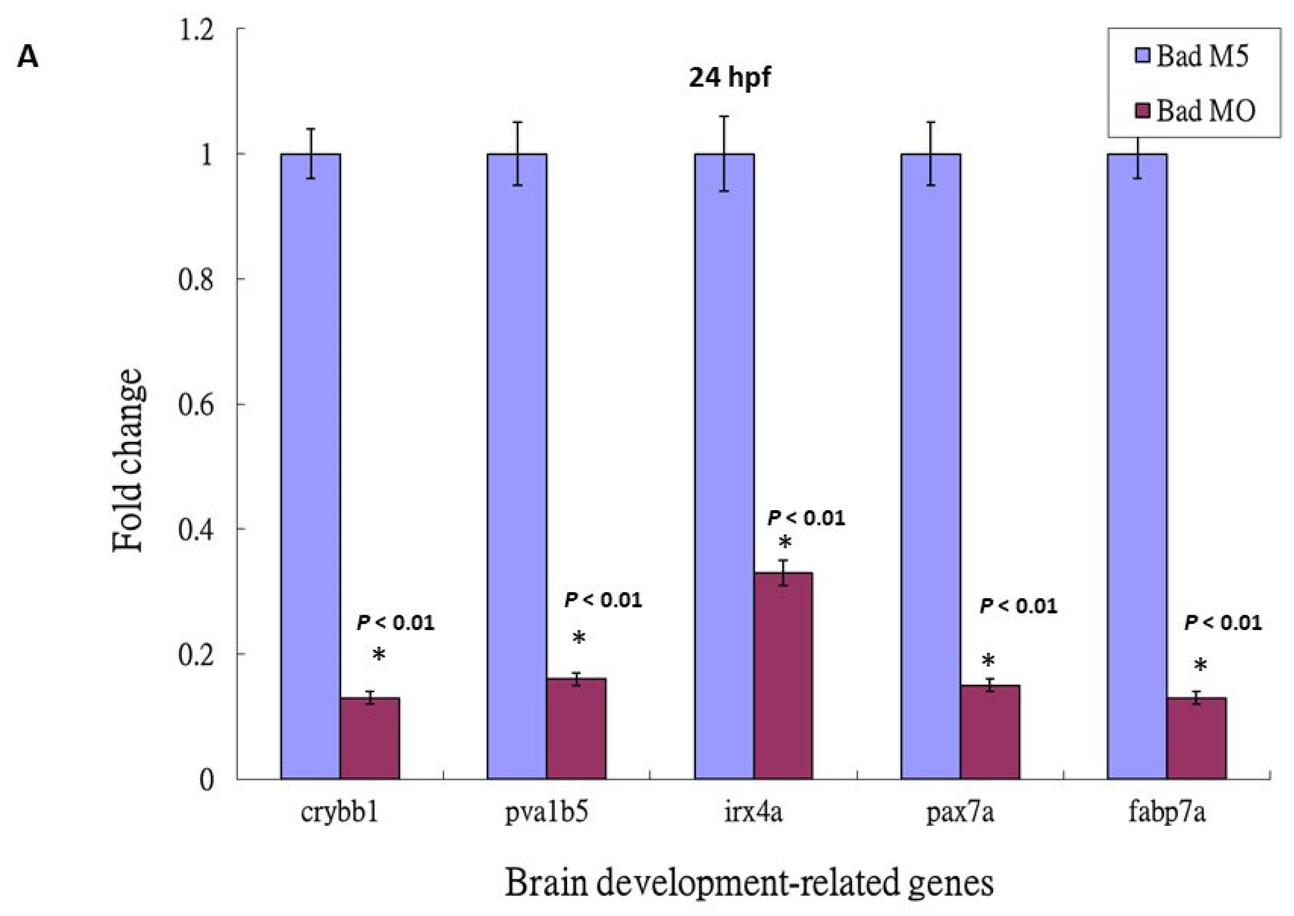 Cells 10 02820 g005a