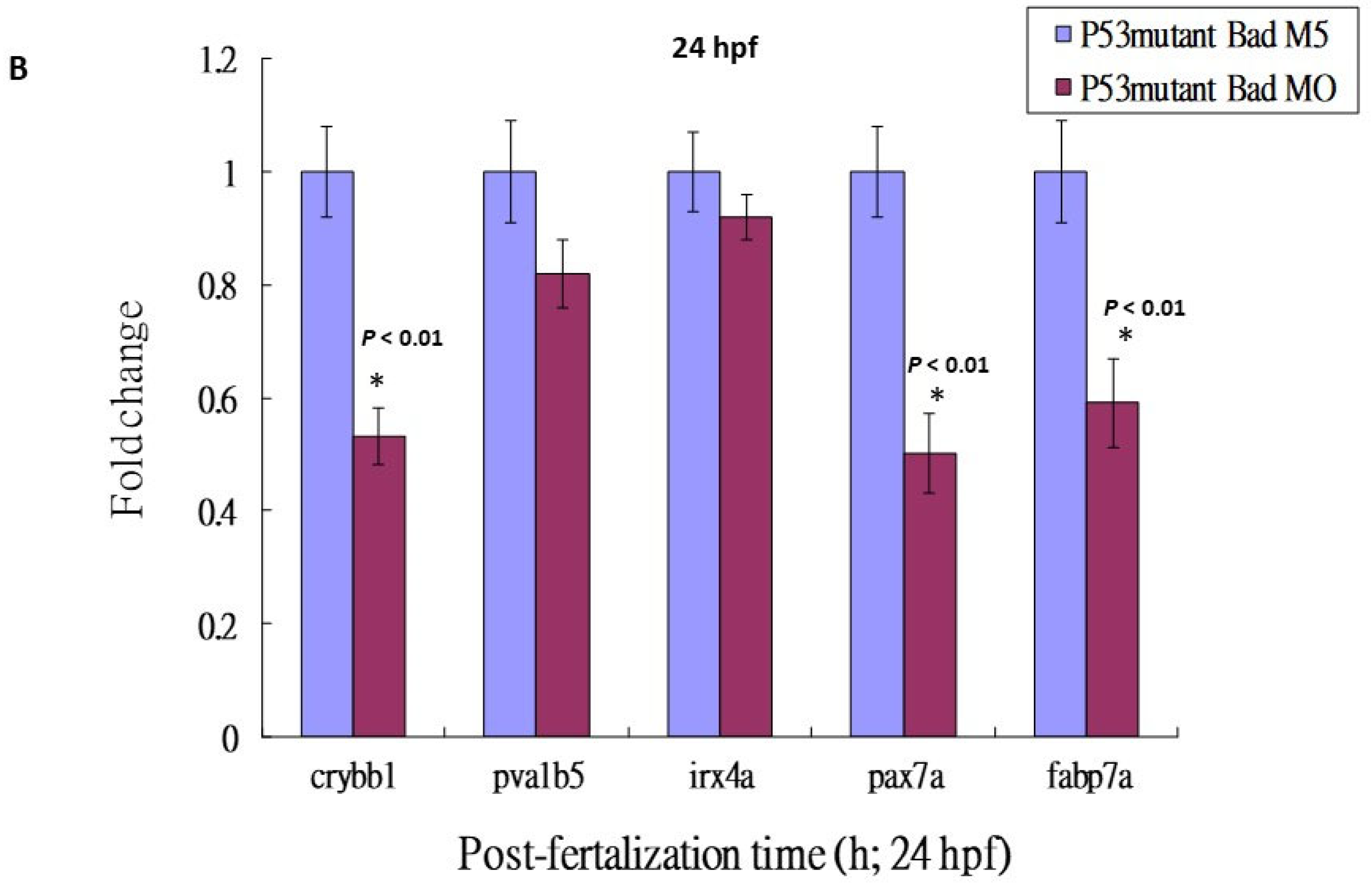 Cells 10 02820 g005b