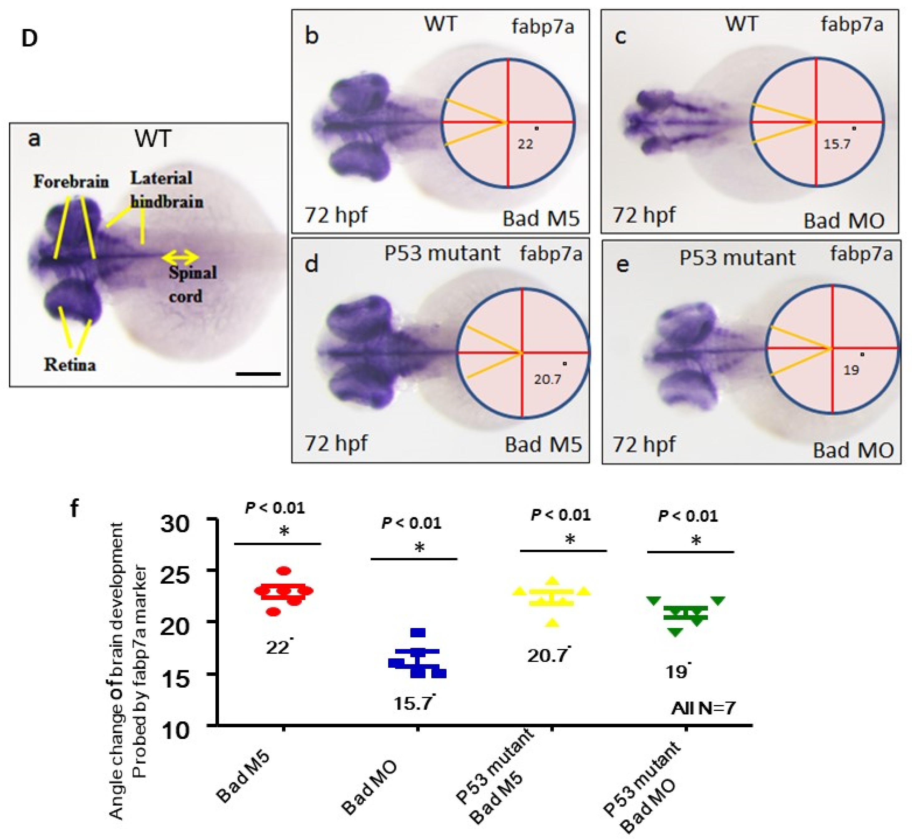 Cells 10 02820 g006b