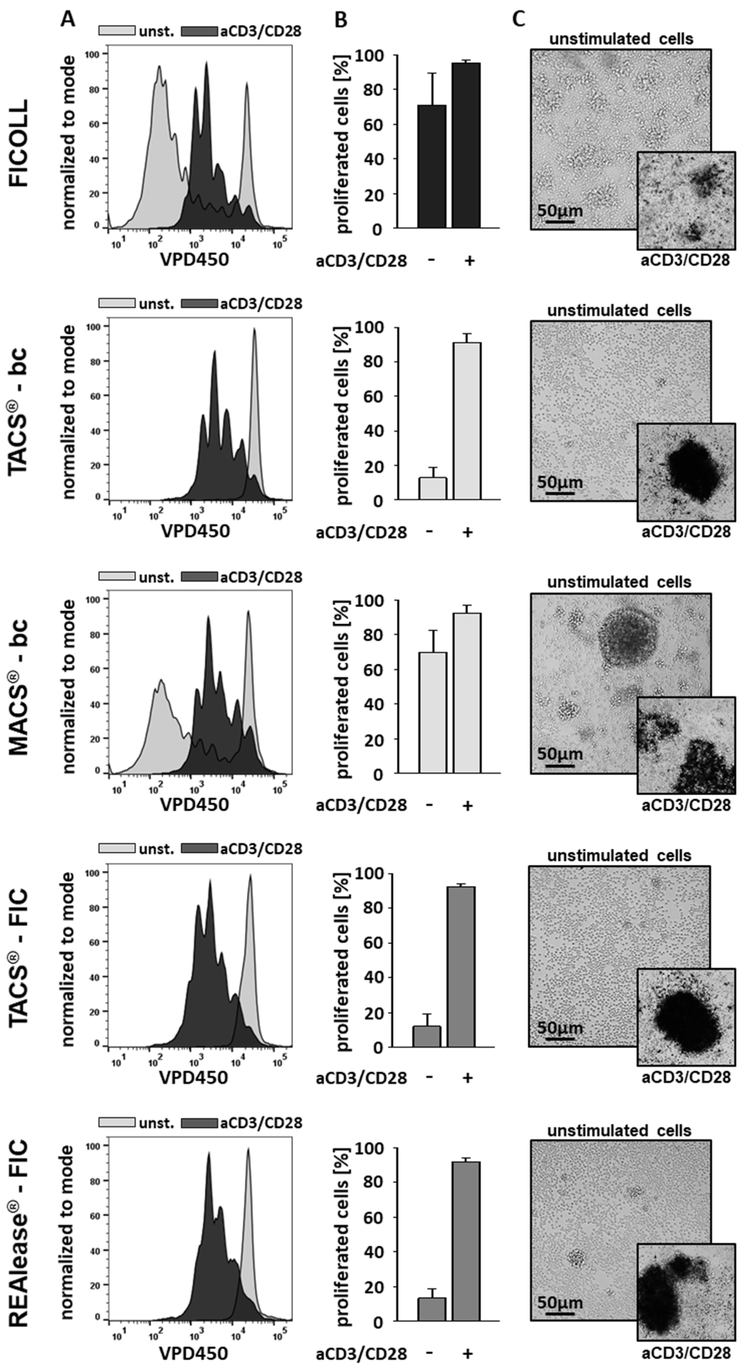 Cells 10 02824 g005