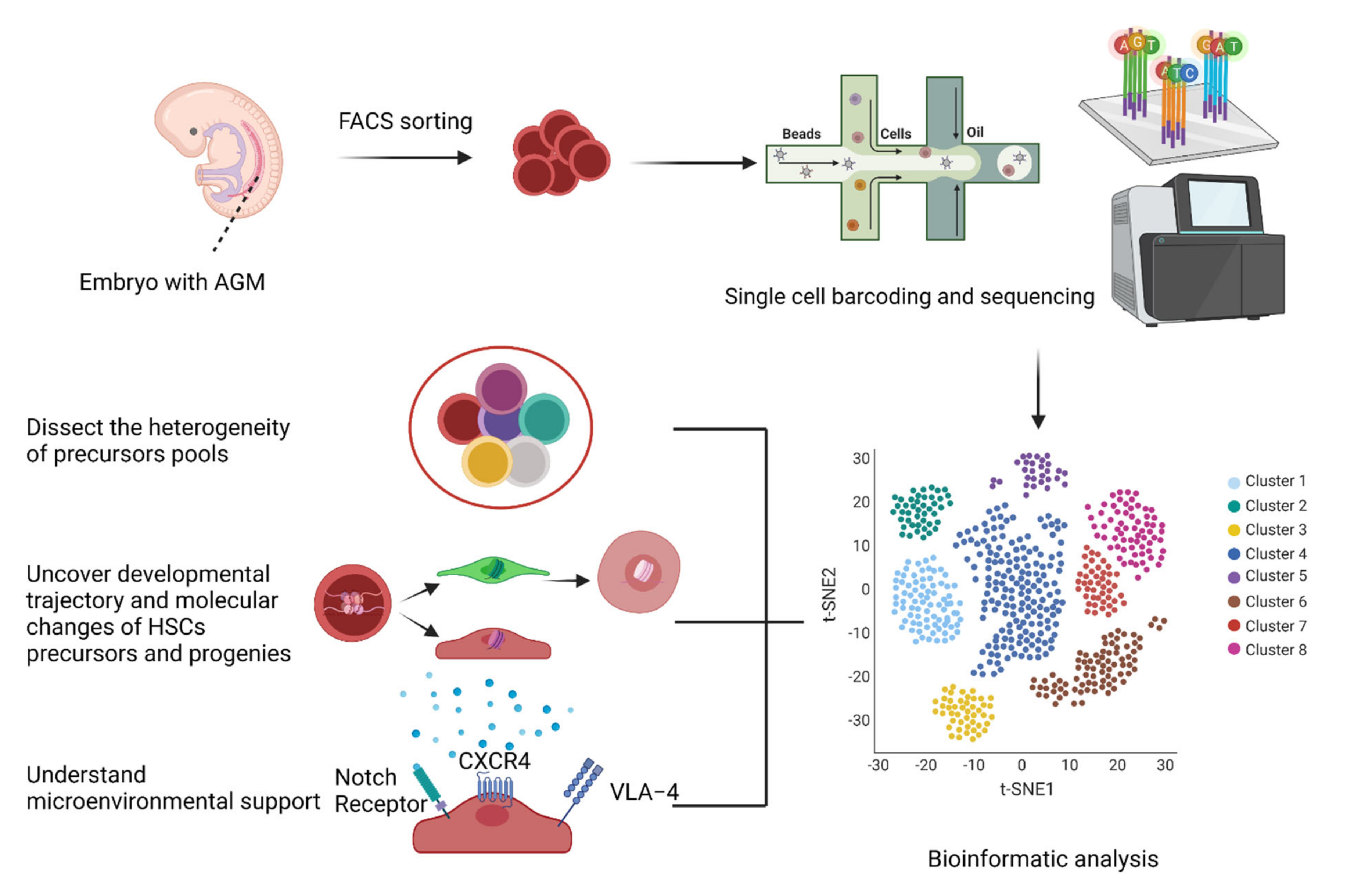 Cells 10 02876 g002