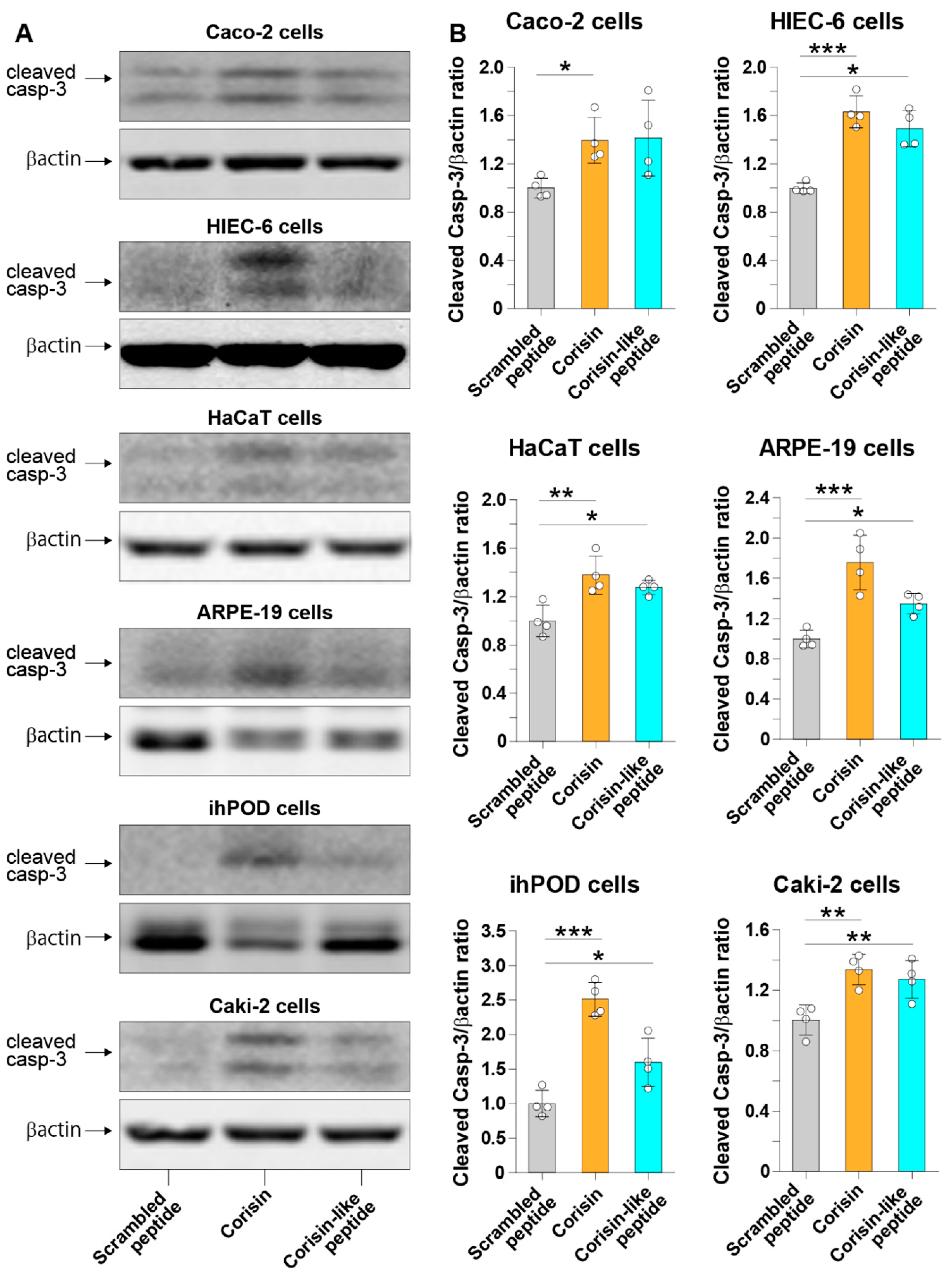 Cells 10 02885 g004
