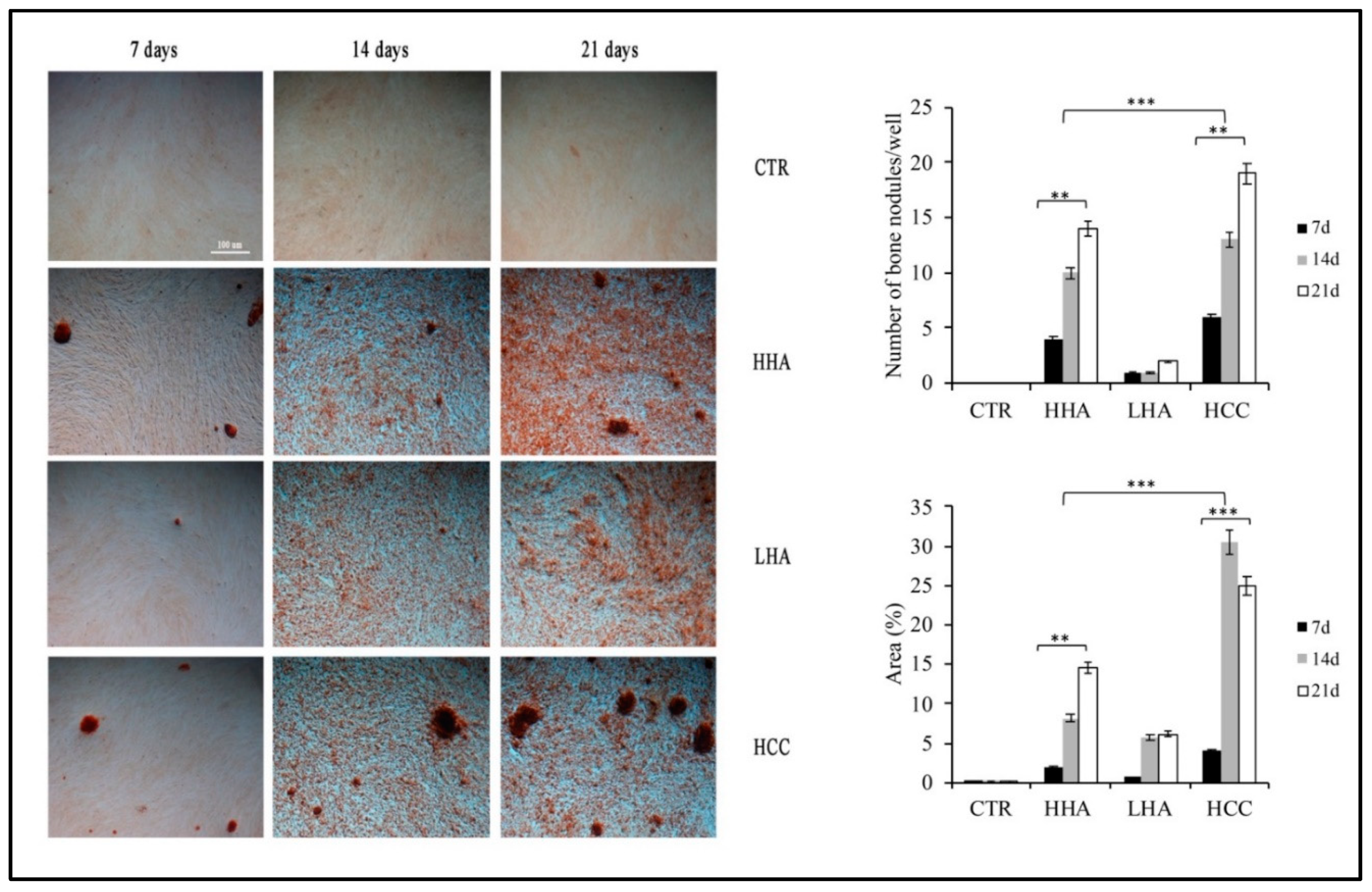 Cells 10 02899 g002