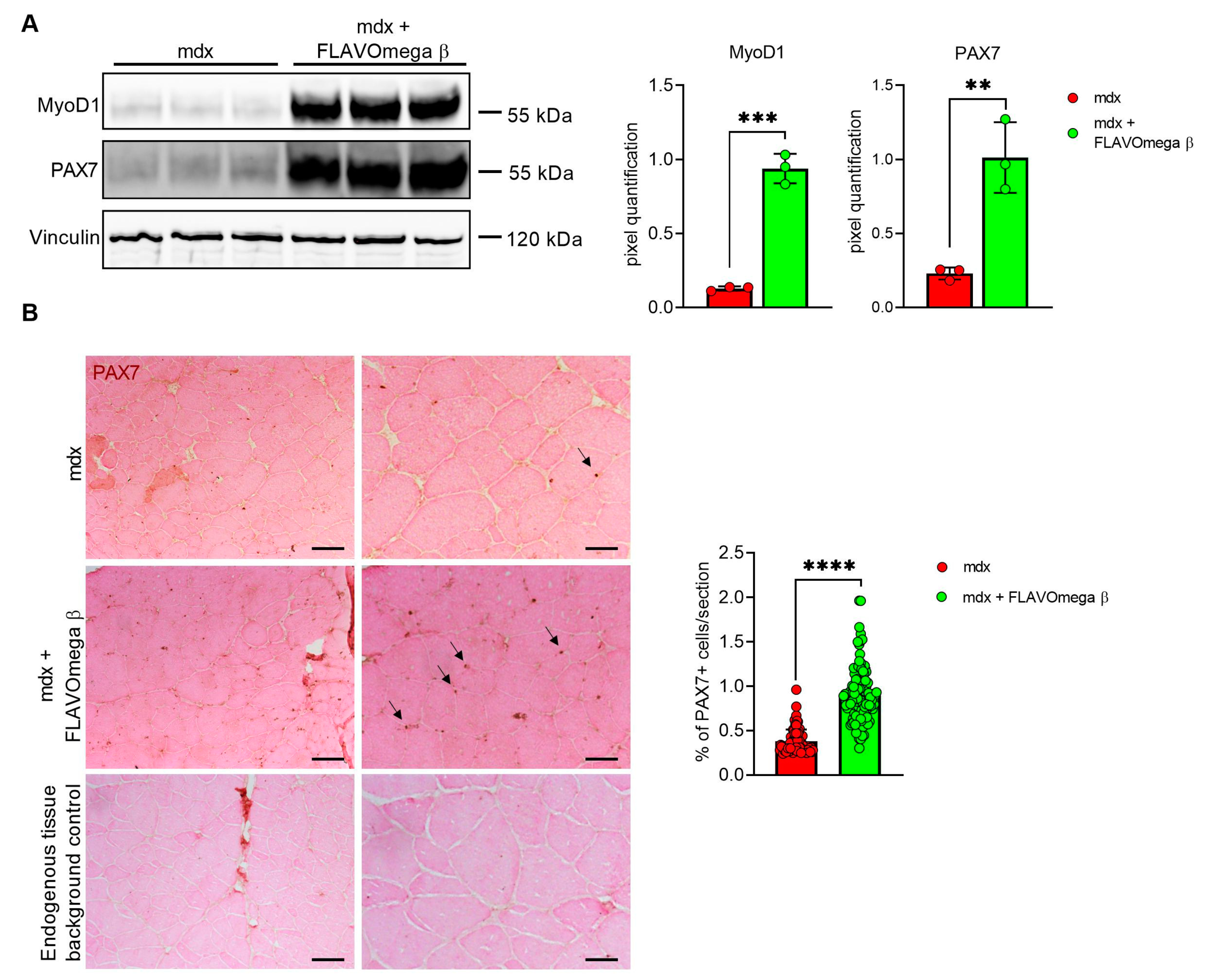 Cells 10 02917 g005