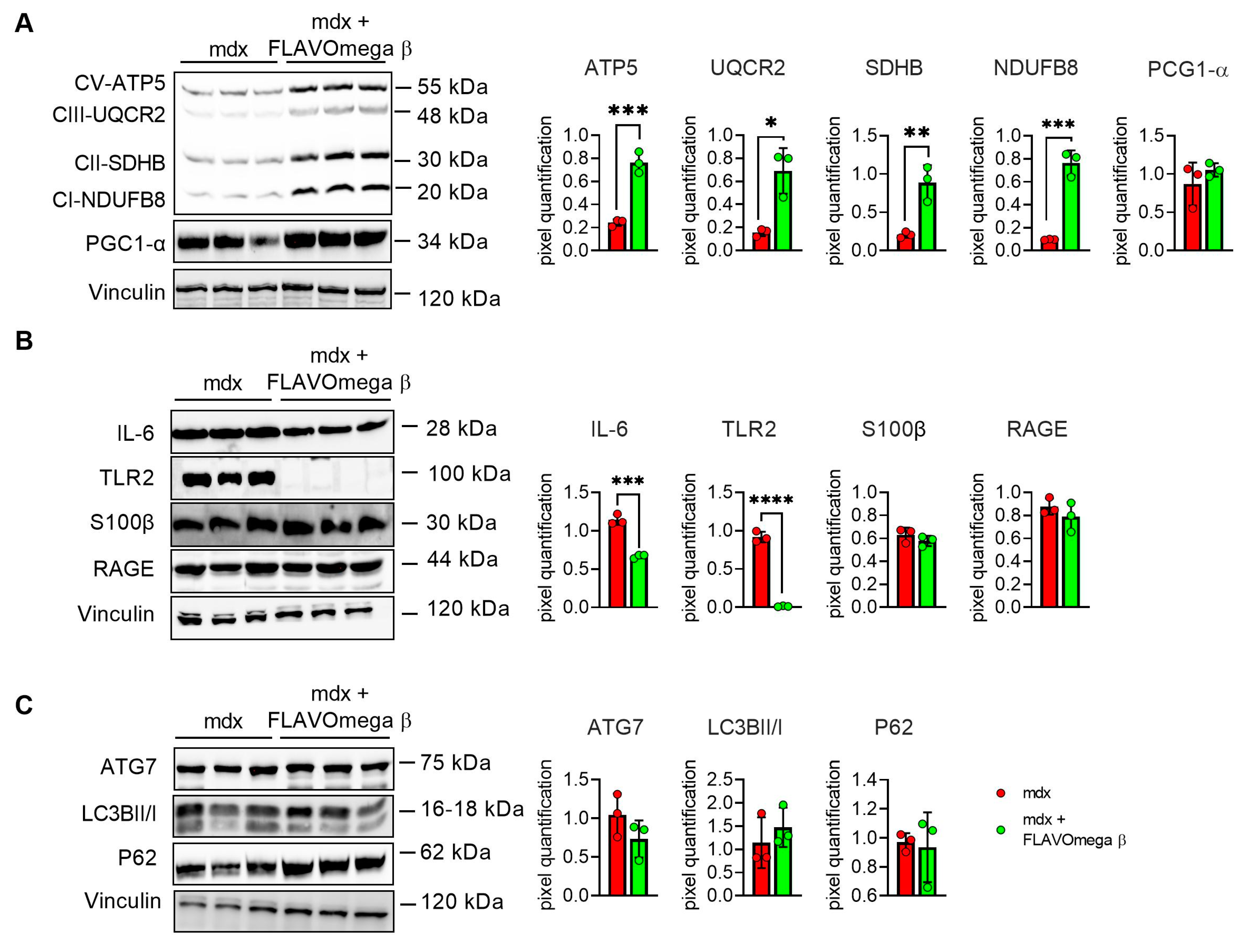 Cells 10 02917 g006
