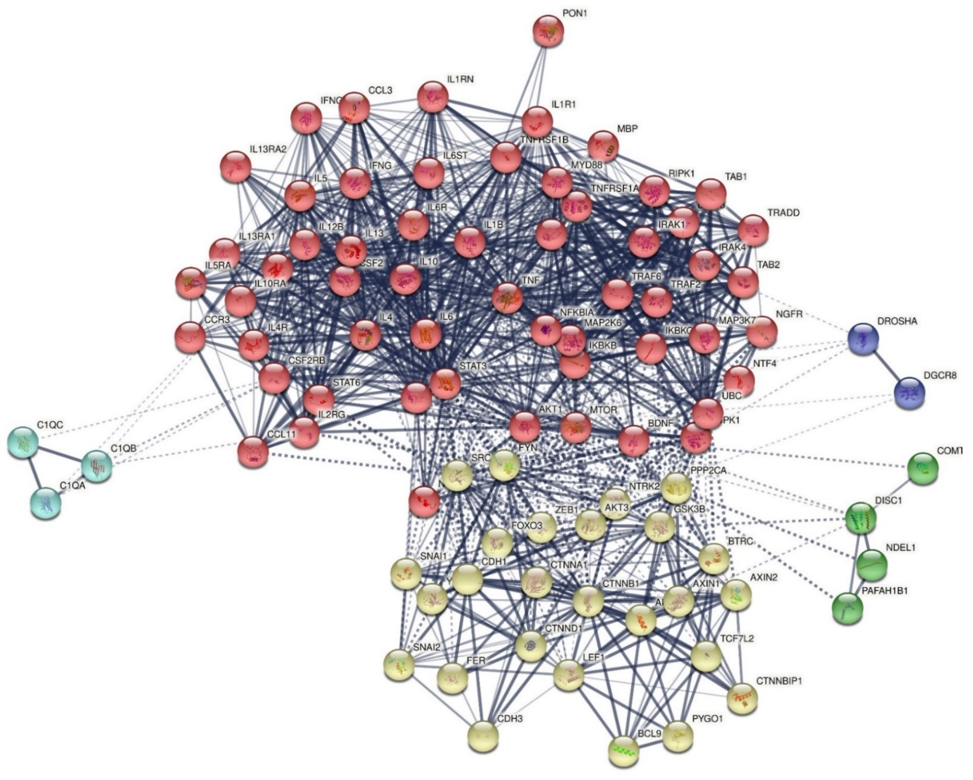 Cells 10 02929 g001 Cells 10 02929 g001