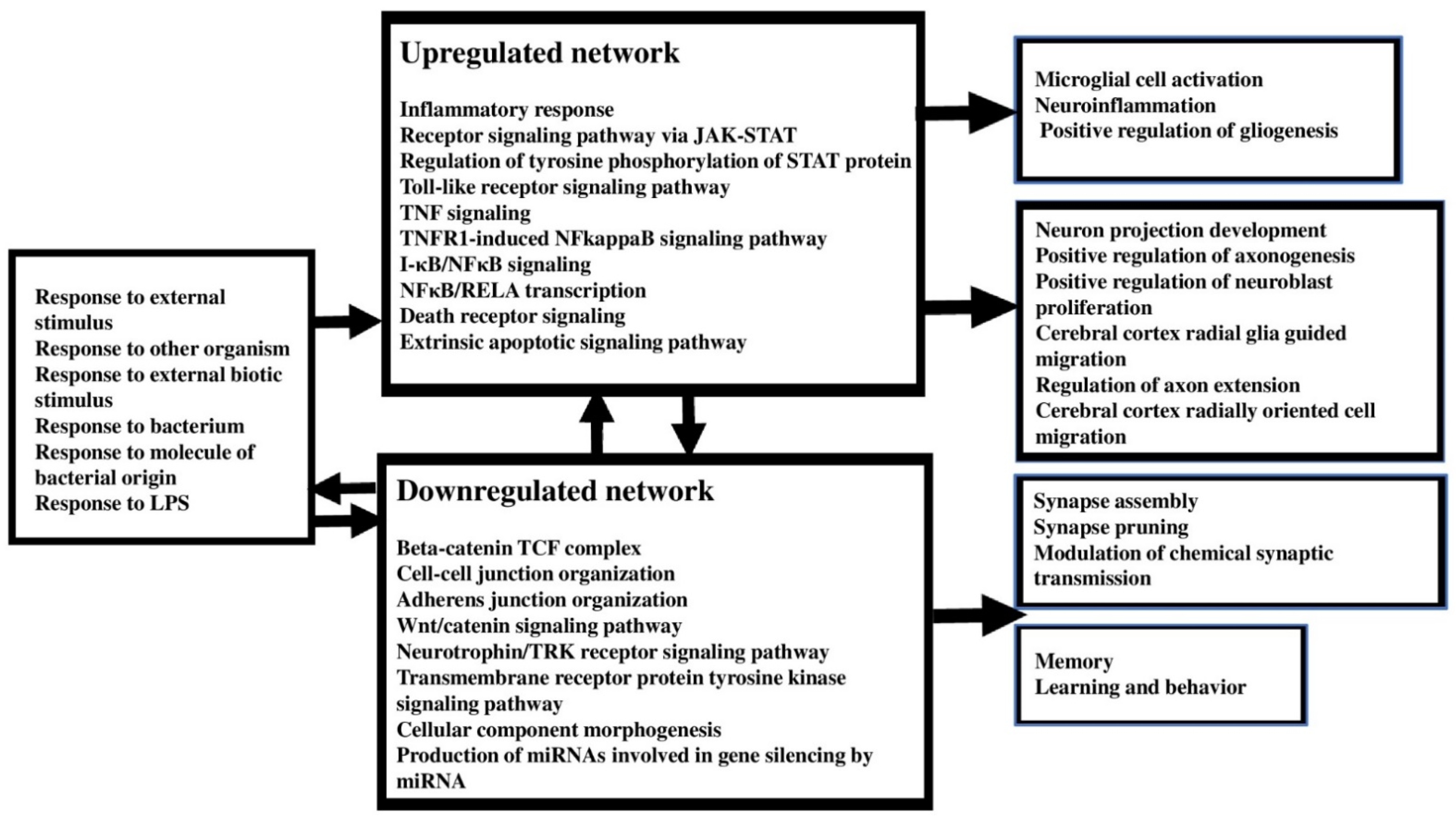 Cells 10 02929 g009 Cells 10 02929 g009