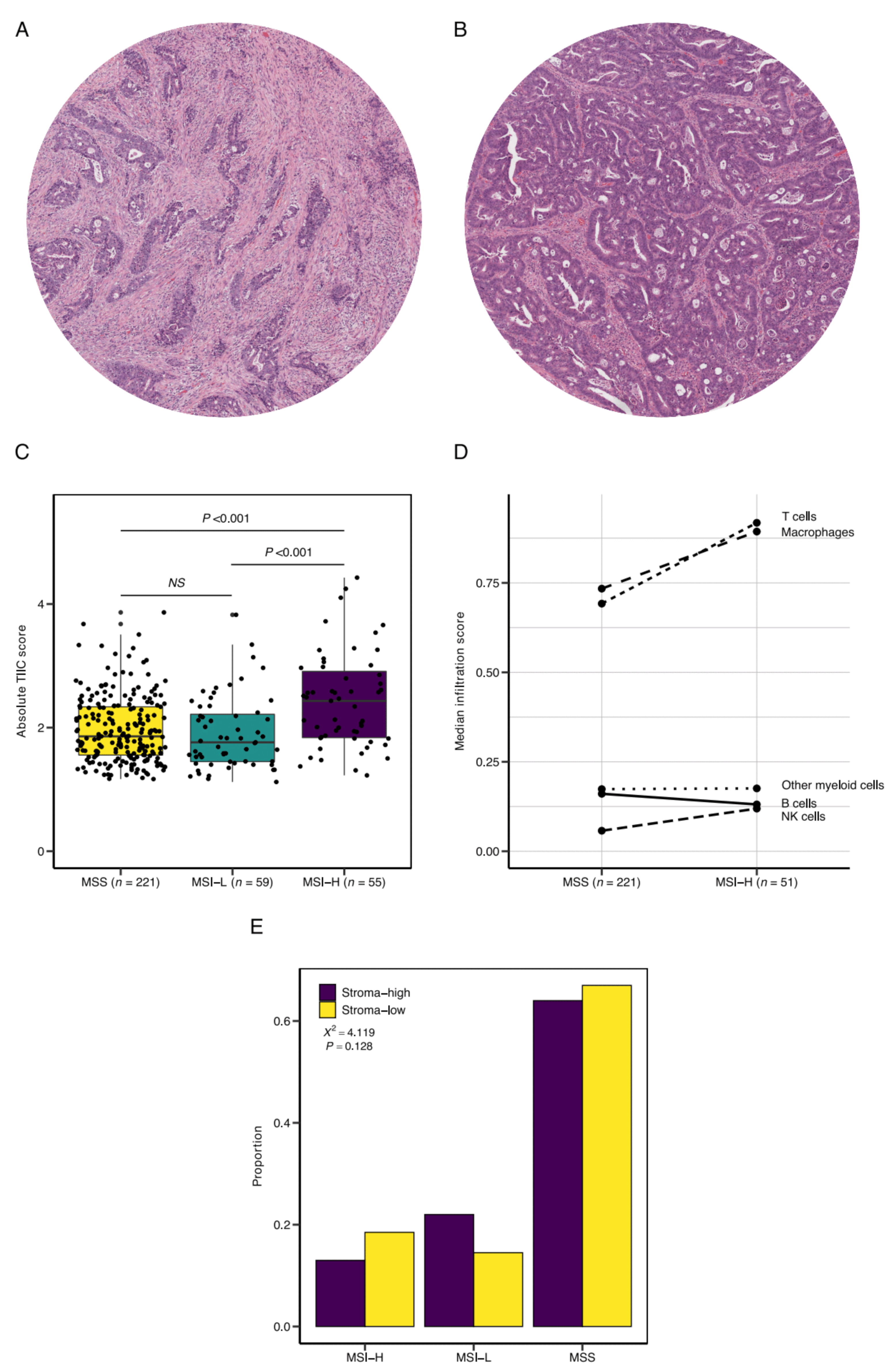 Cells 10 02935 g002