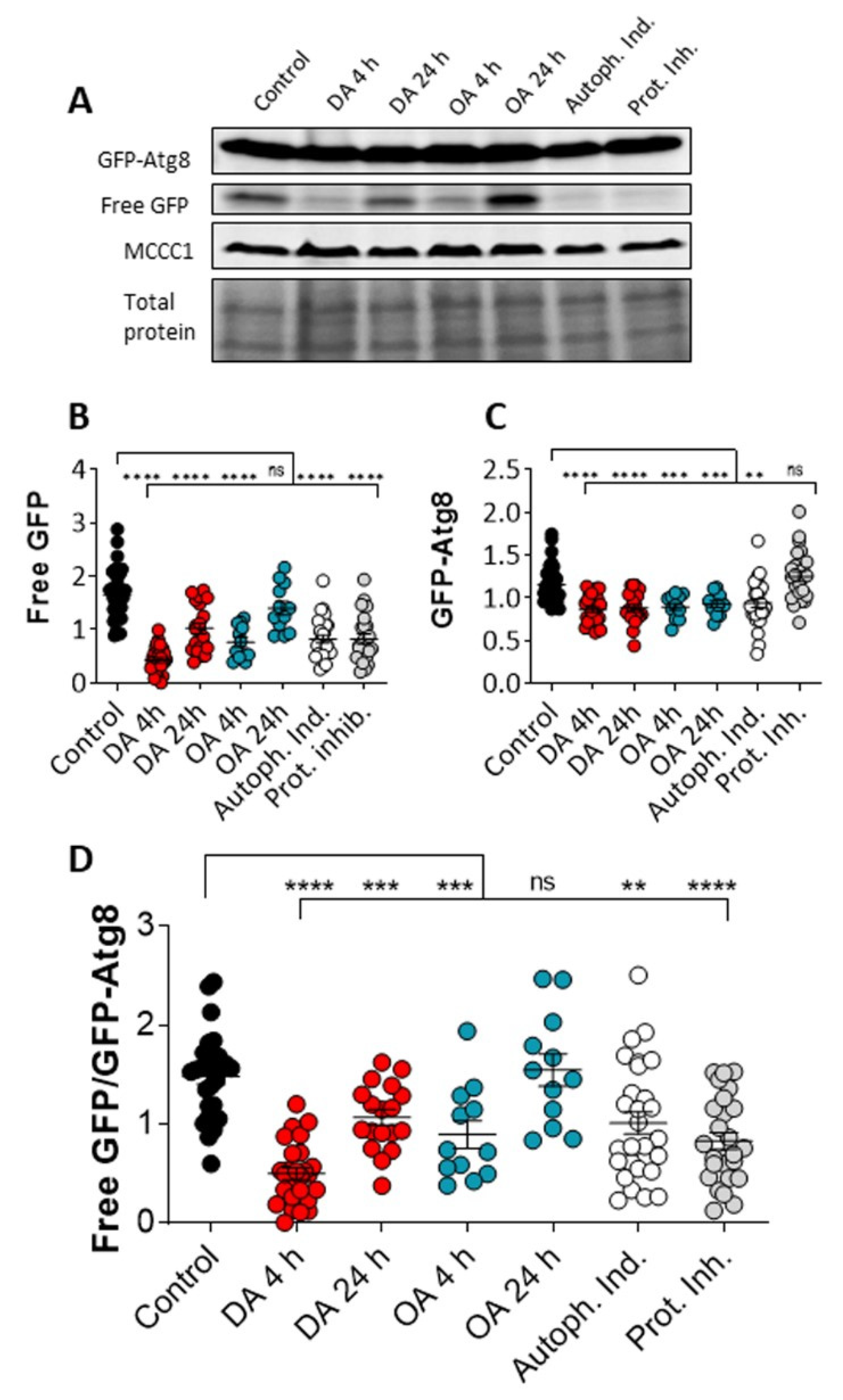 Cells 10 02946 g002 Cells 10 02946 g002
