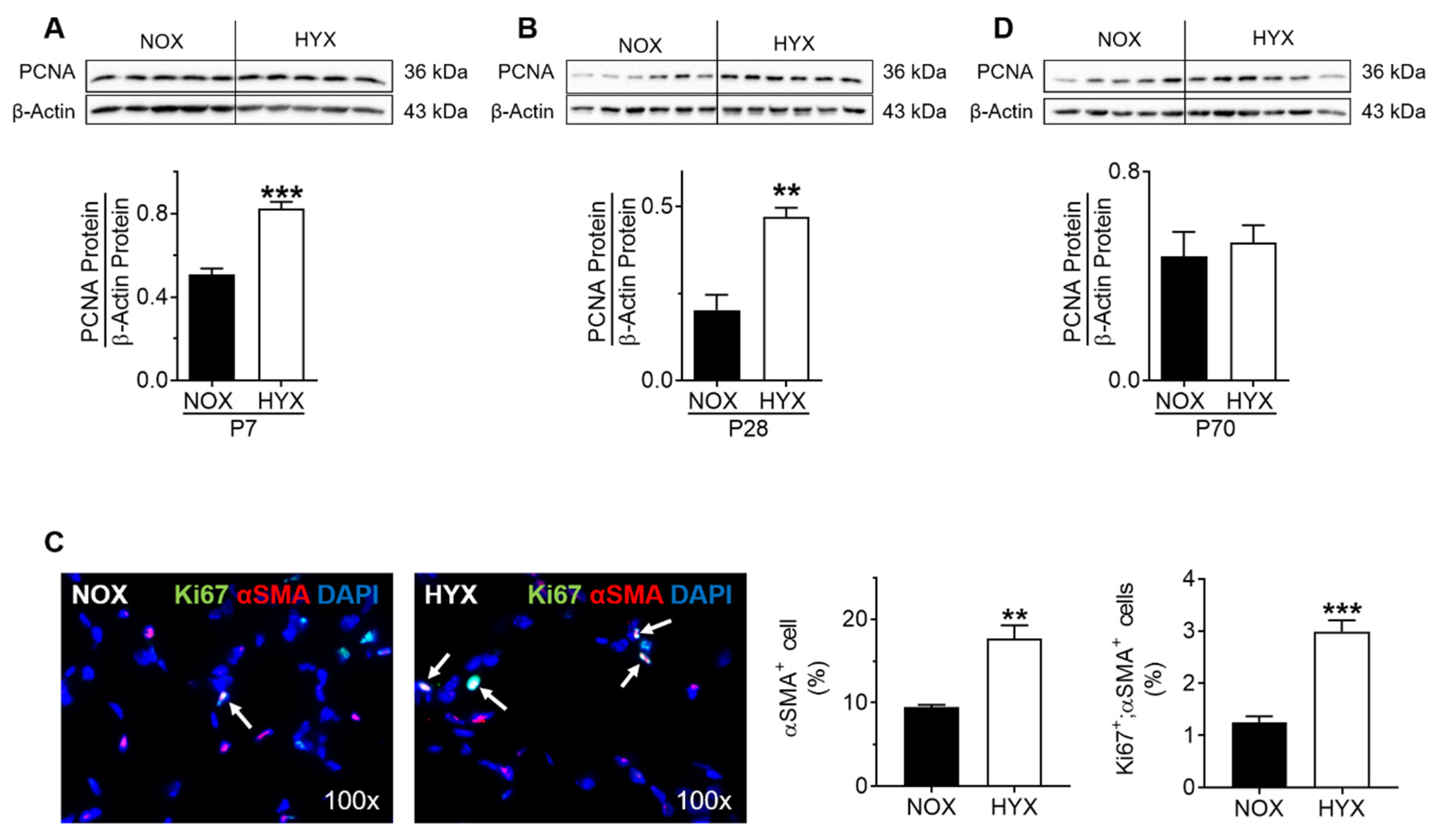 Cells 10 02947 g005