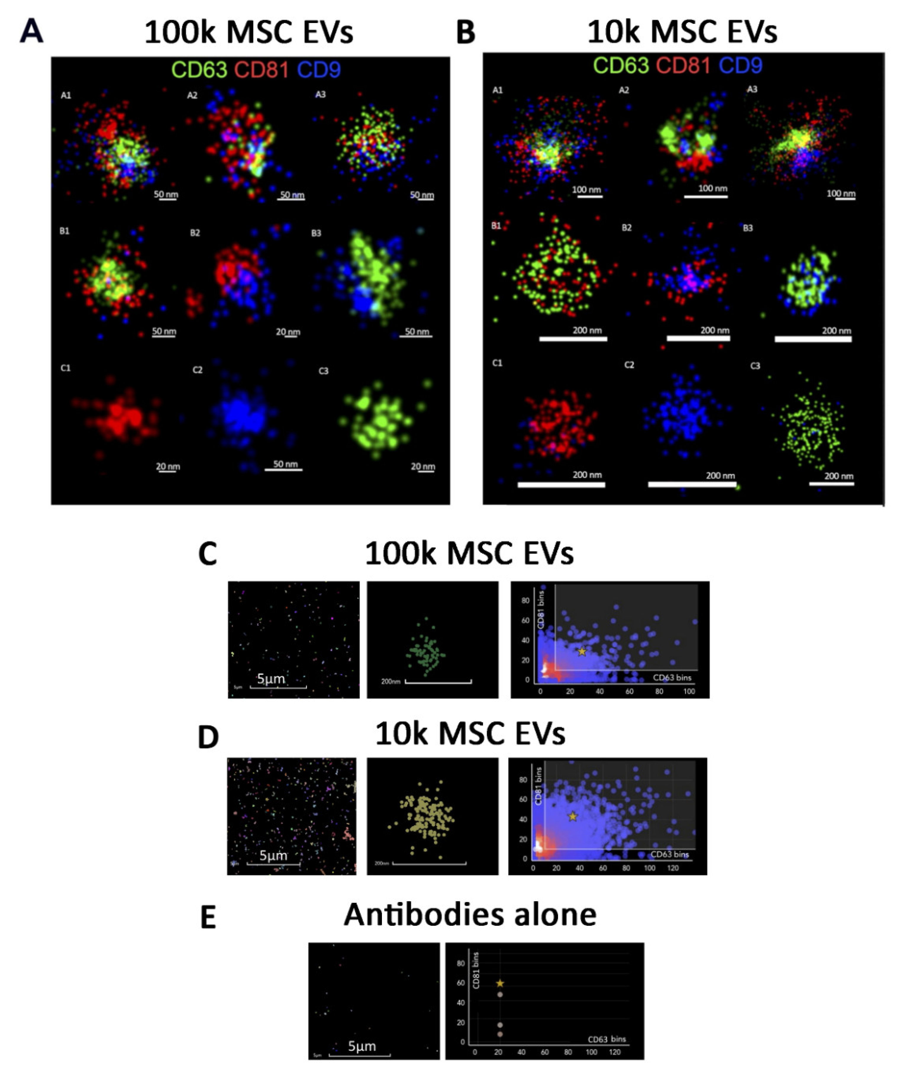 Cells 10 02948 g003