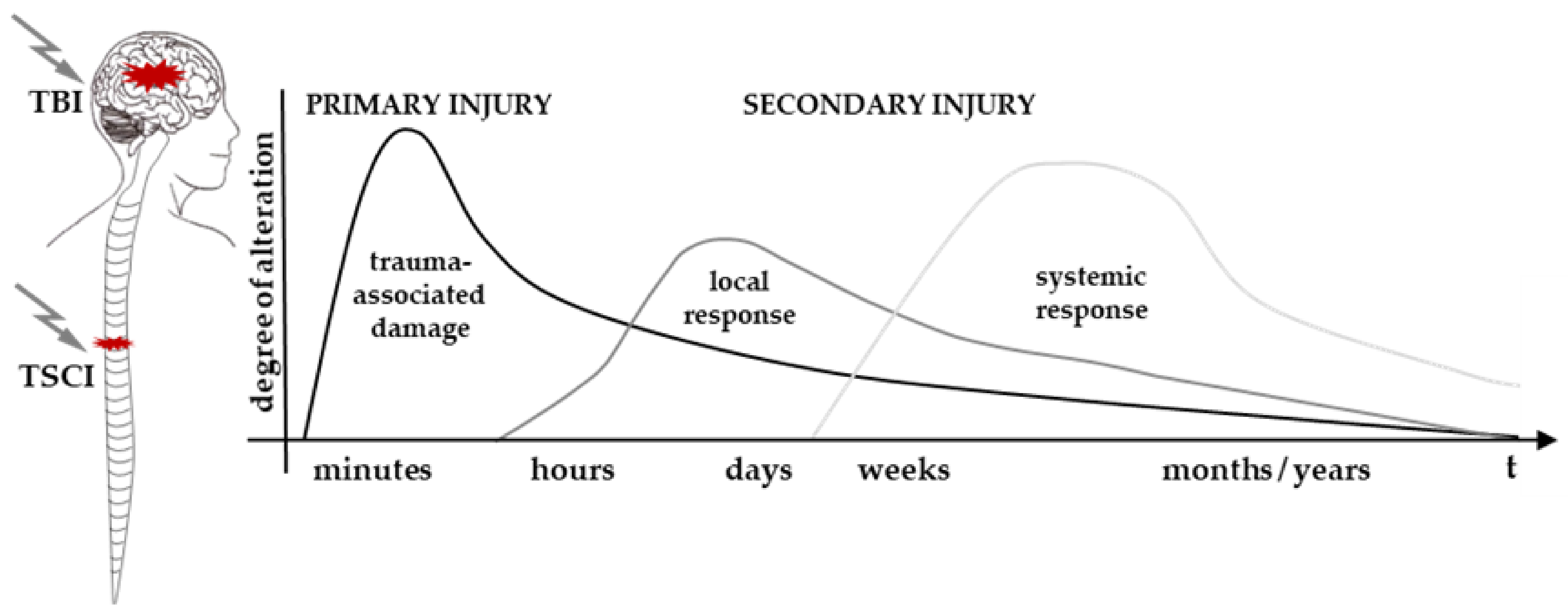 Cells 10 02955 g001 Cells 10 02955 g001