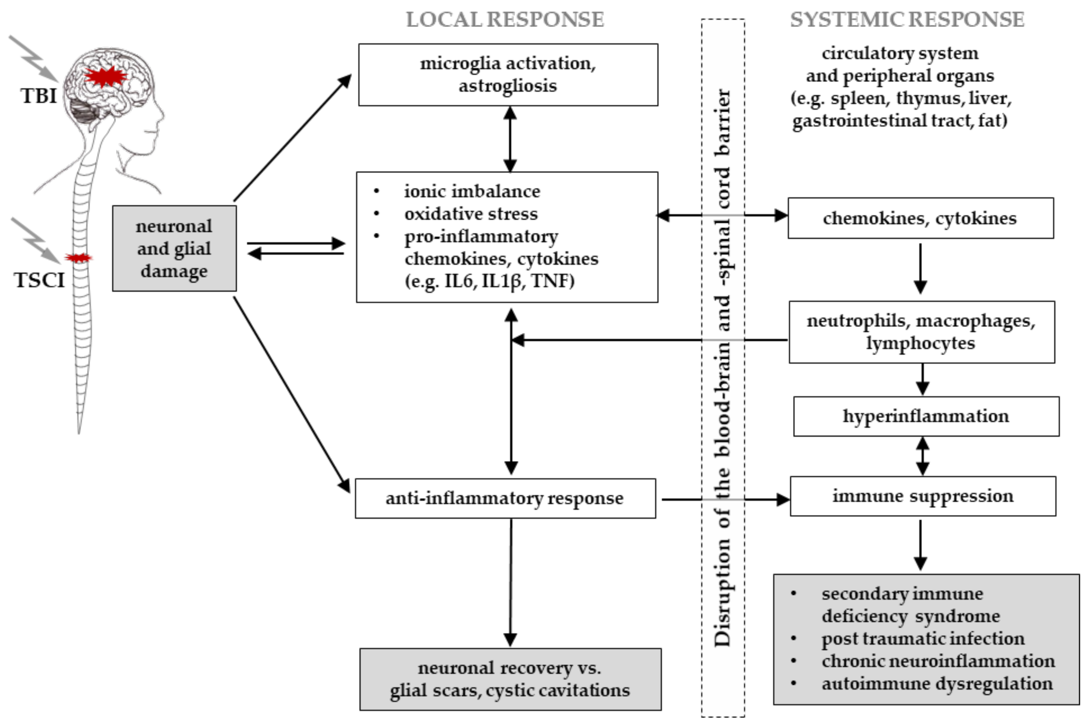 Cells 10 02955 g004 Cells 10 02955 g004