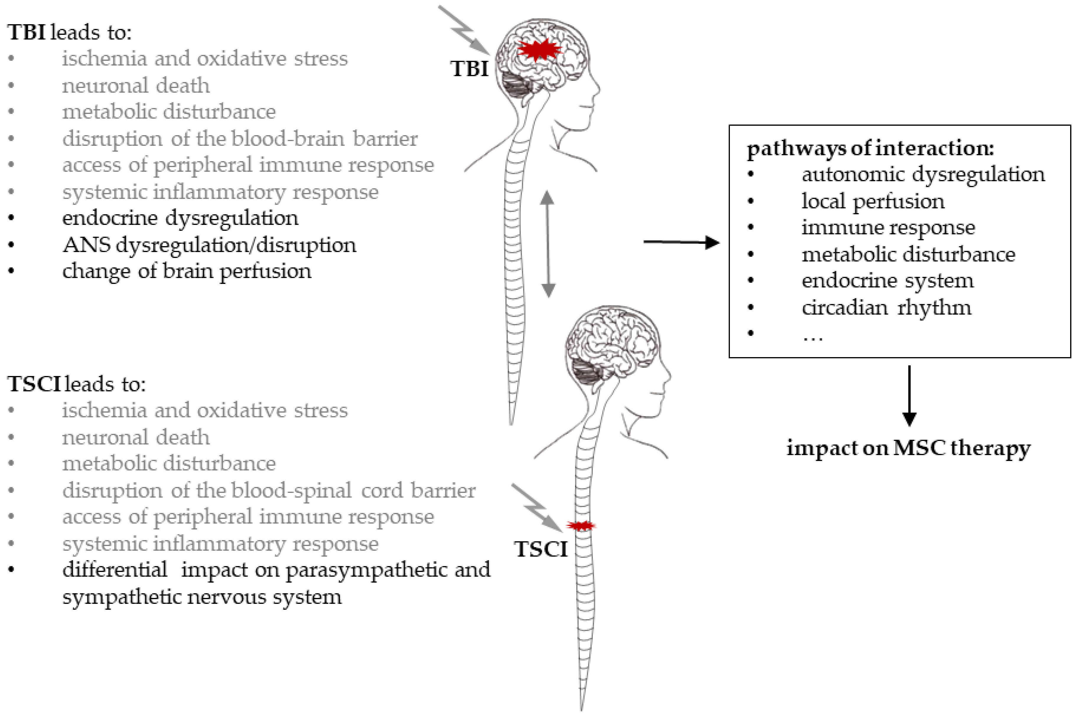 Cells 10 02955 g005 Cells 10 02955 g005