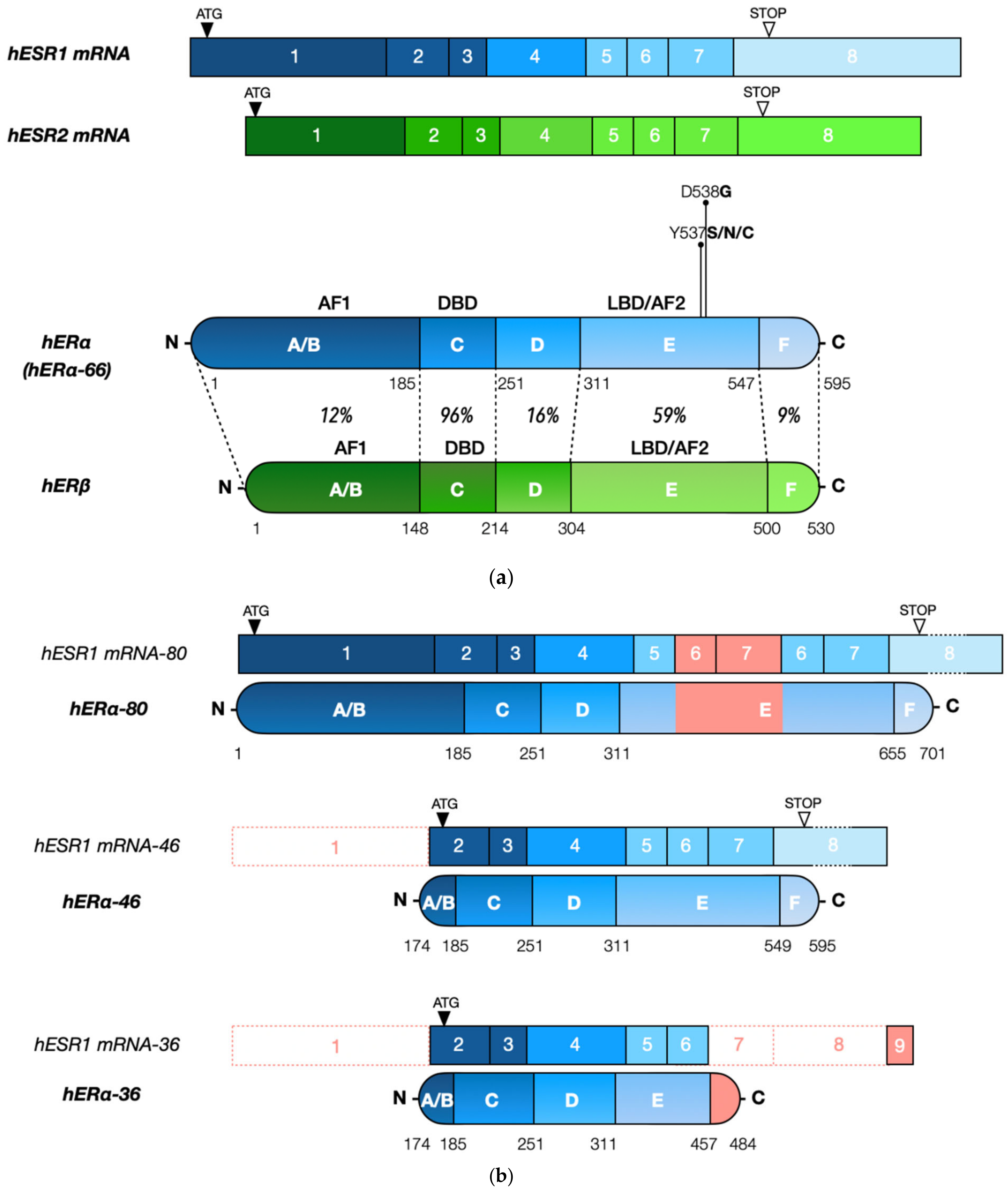 Cells 10 02966 g001 Cells 10 02966 g001