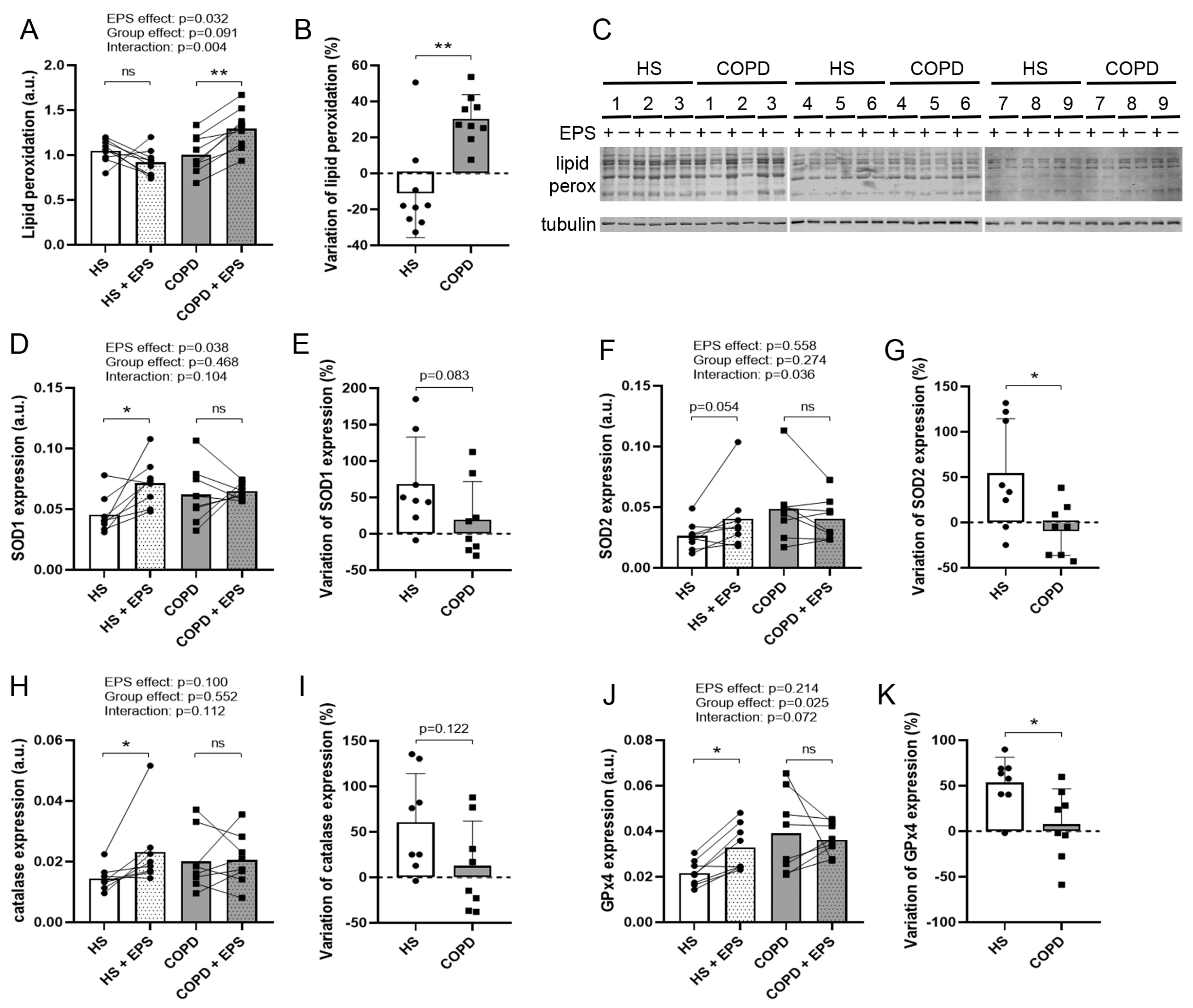 Cells 10 03002 g006 Cells 10 03002 g006