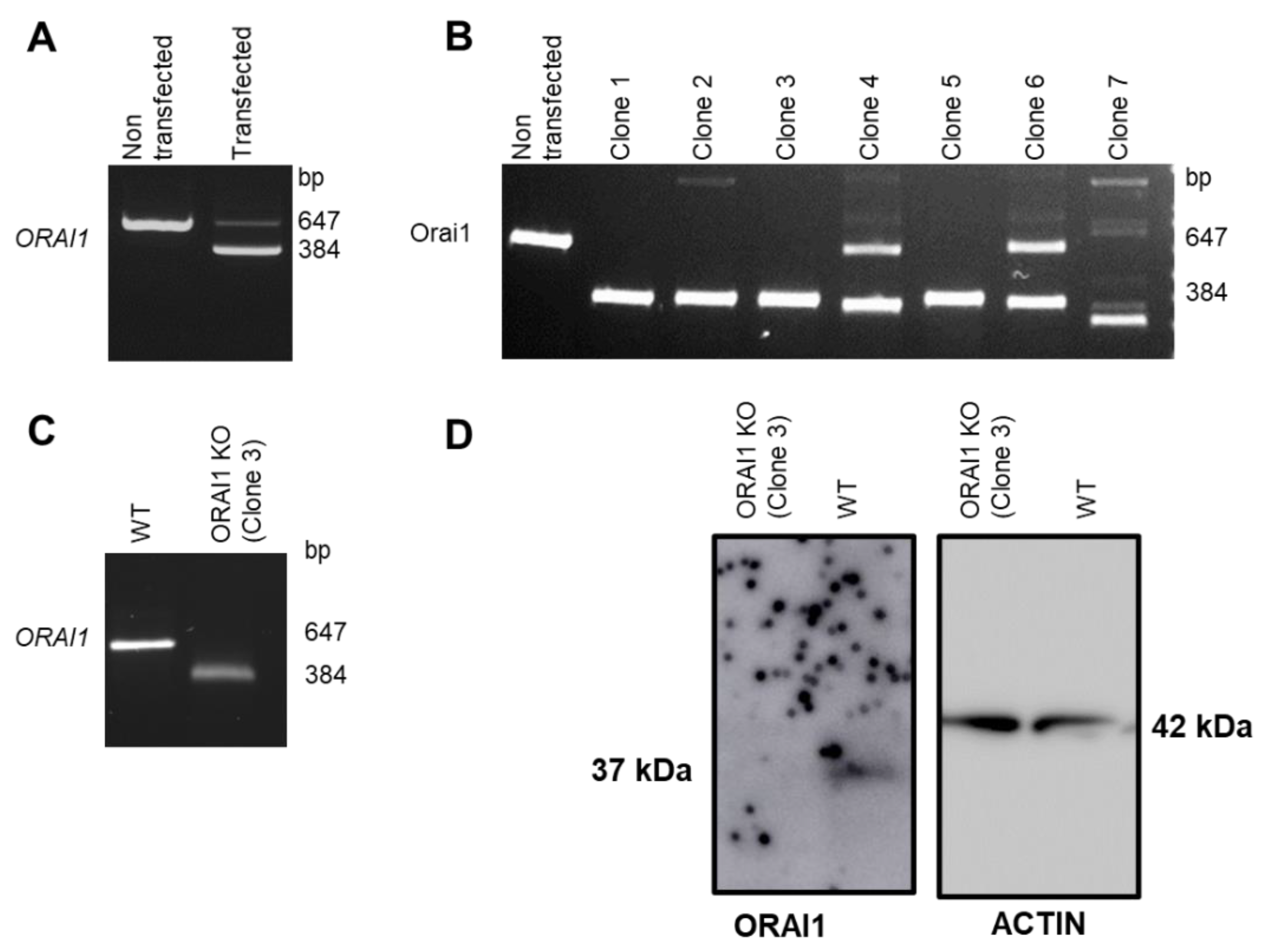 Cells 10 03016 g002