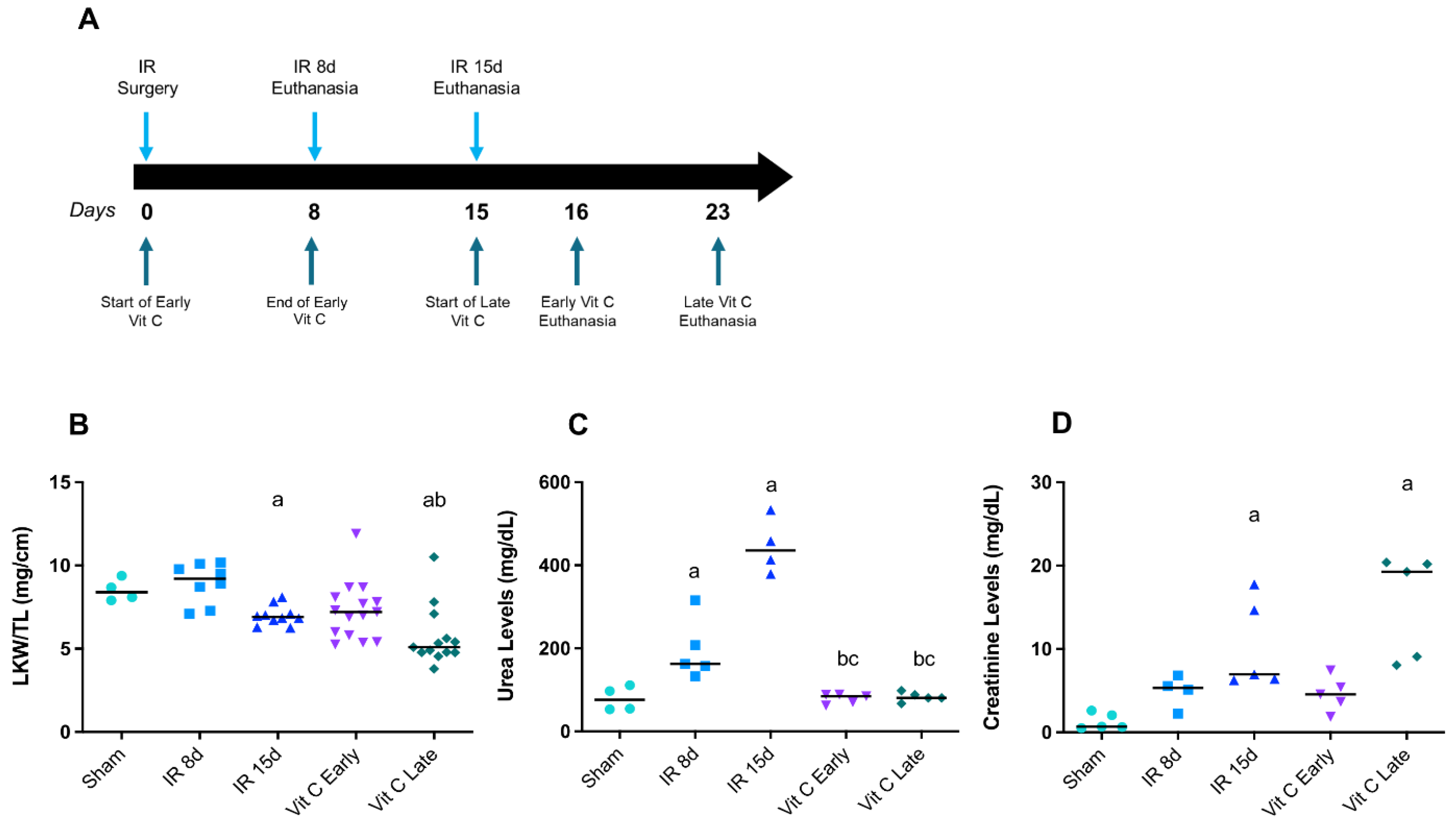 Cells | Free Full-Text | Mitochondrial Dysfunction in Cardiorenal