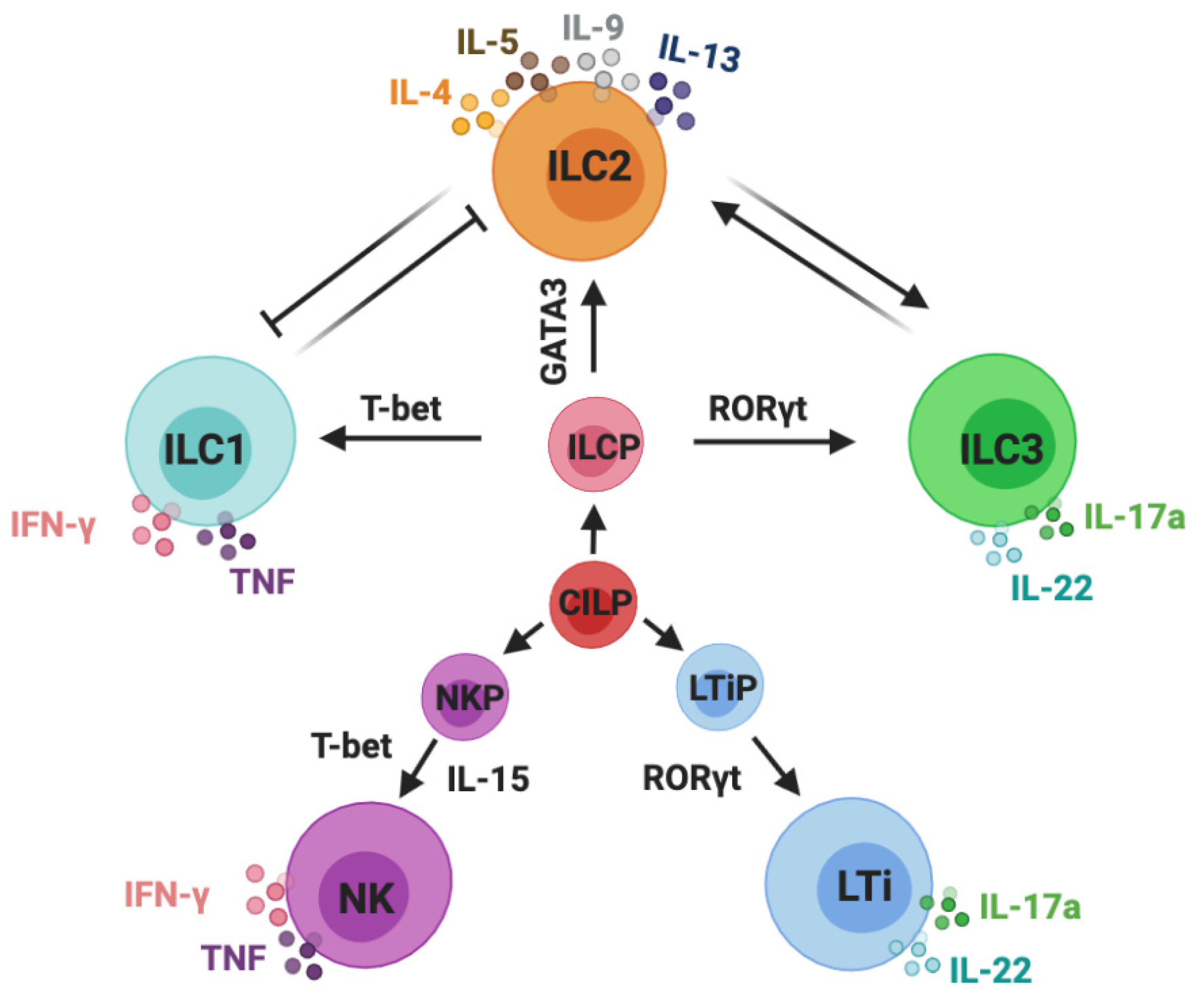 Chemokine Receptors in Allergy, Inflammation, and Infectious Disease