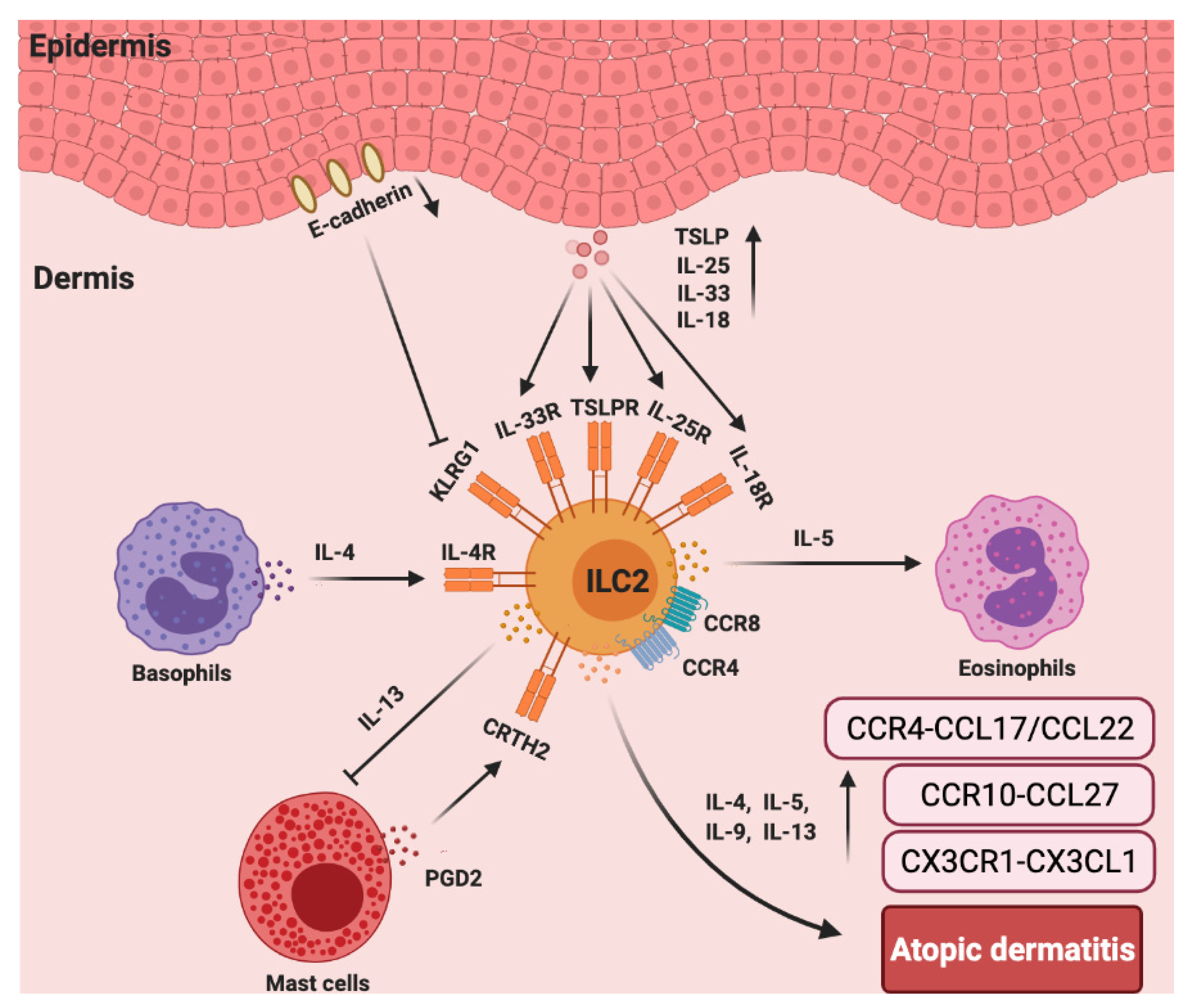 Cells 10 03074 g003