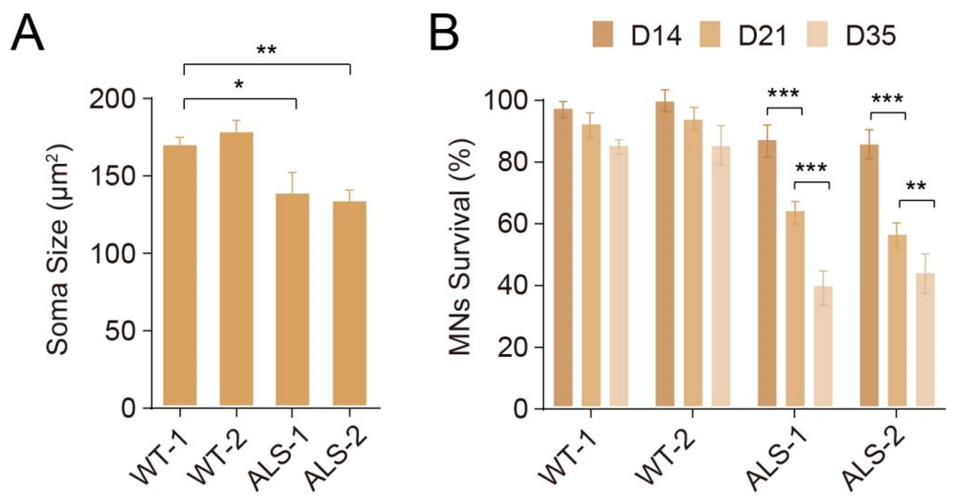 Cells 10 03087 g005 Cells 10 03087 g005
