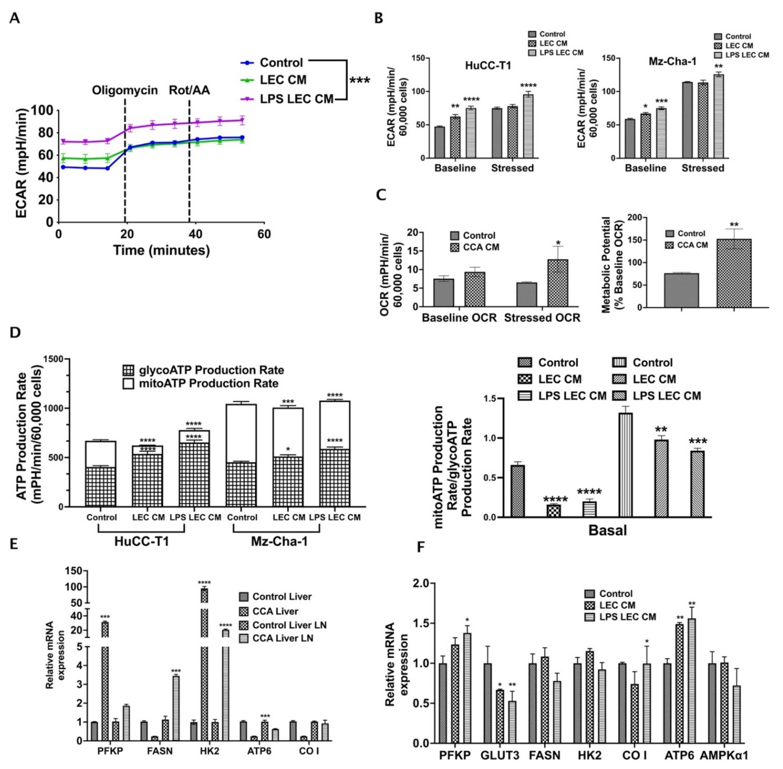 Cells 10 03093 g005 Cells 10 03093 g005