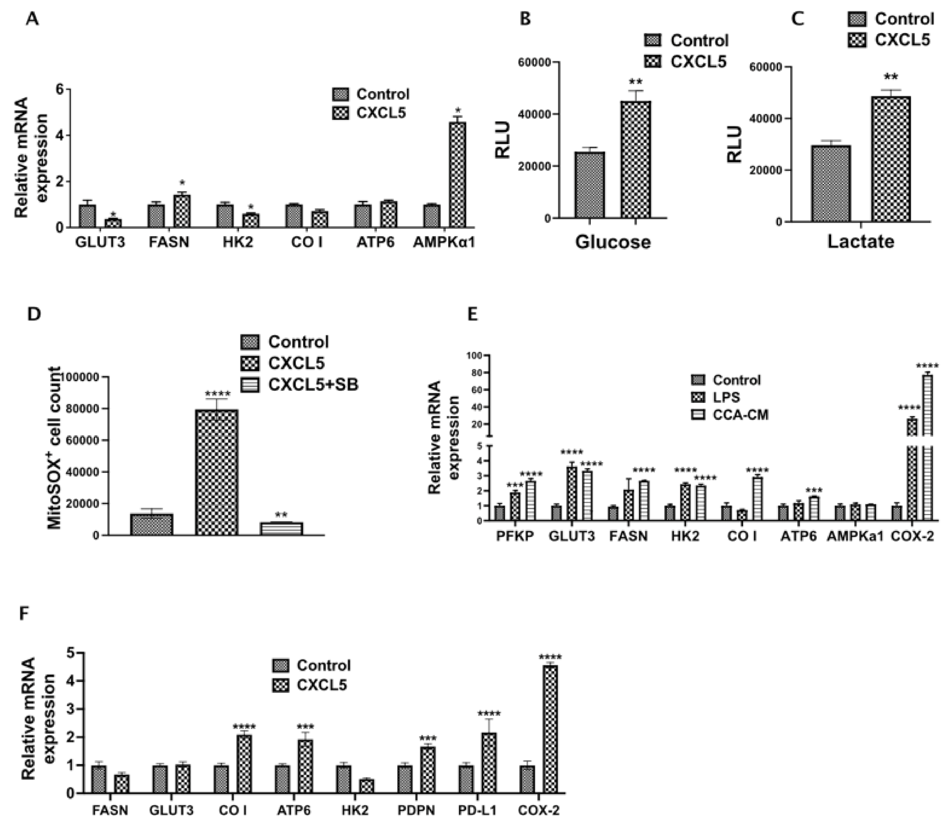 Cells 10 03093 g006 Cells 10 03093 g006
