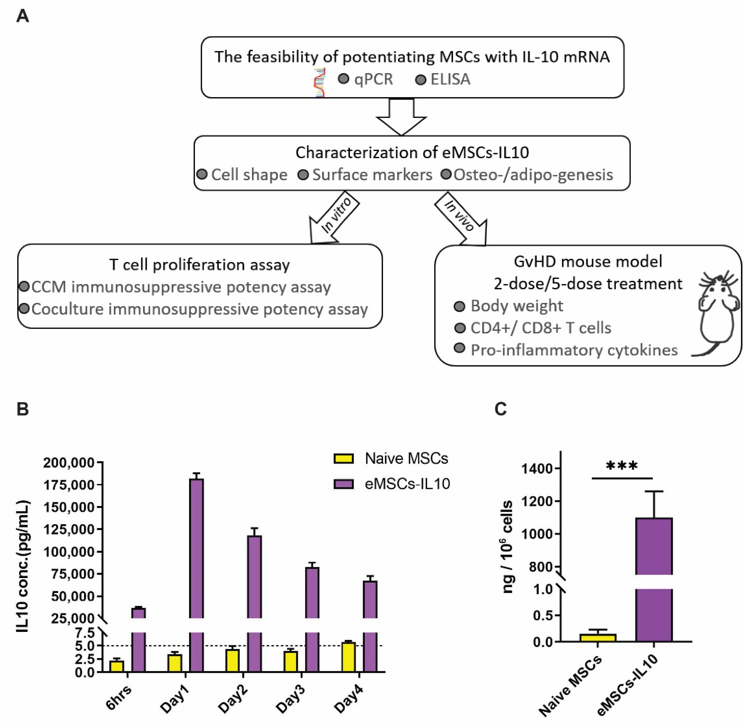 Cells 10 03101 g001 Cells 10 03101 g001