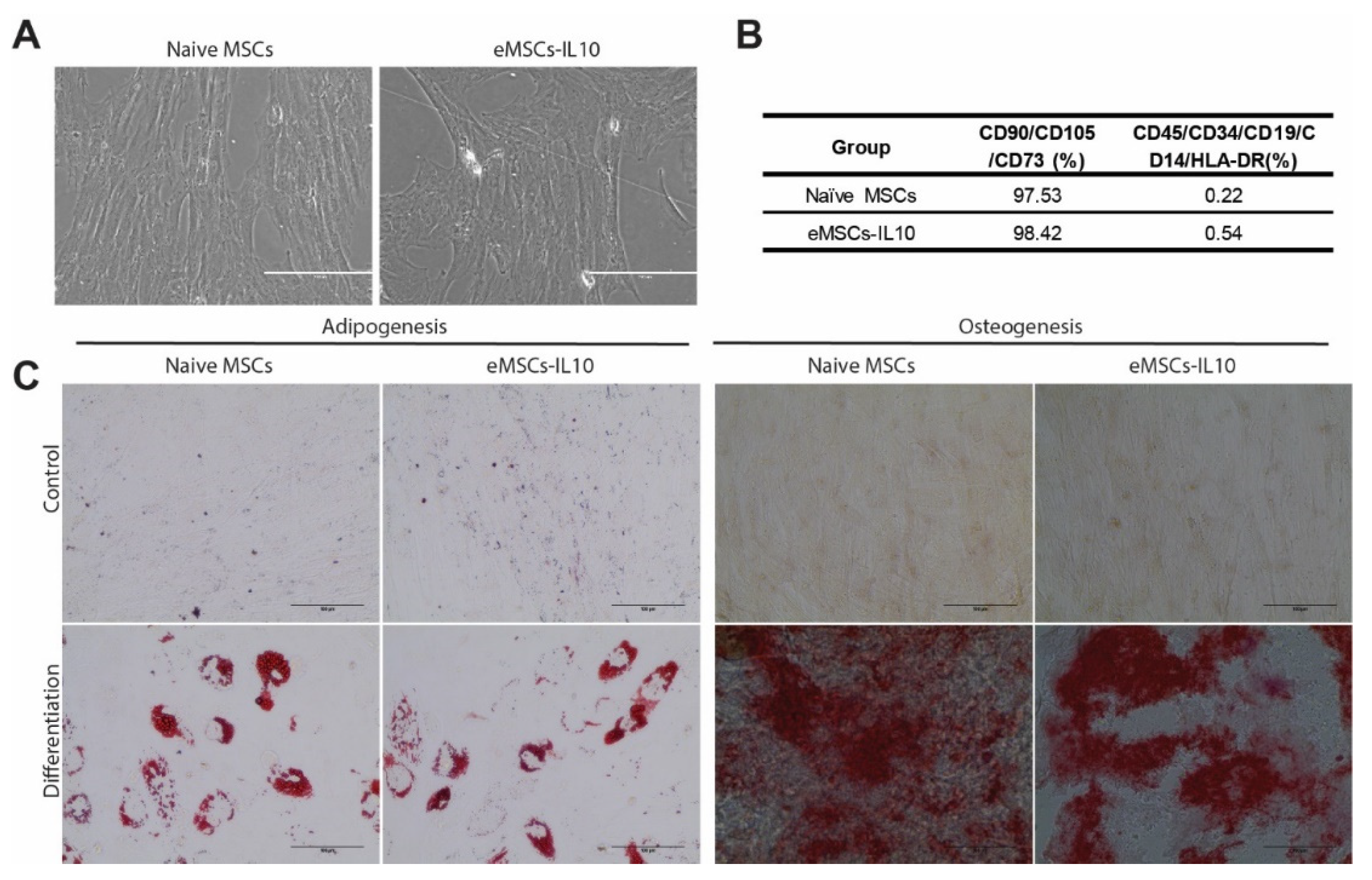Cells 10 03101 g002 Cells 10 03101 g002