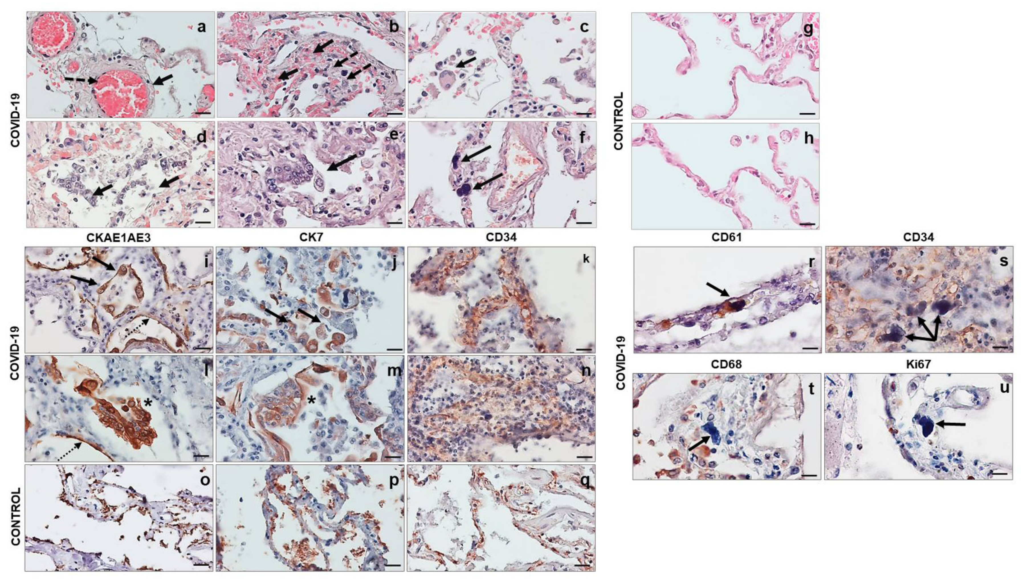 Cells 10 03136 g001