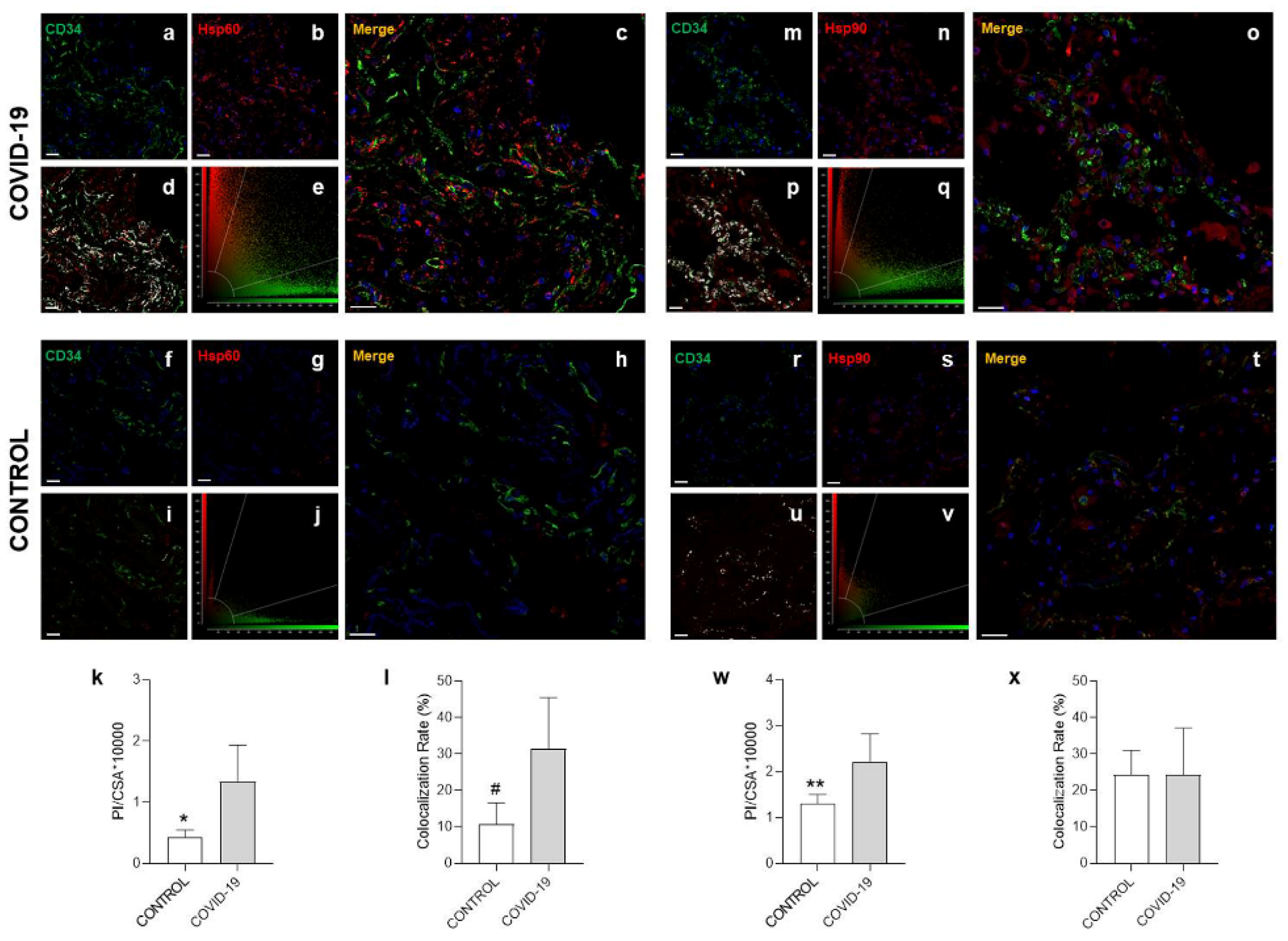 Cells 10 03136 g003