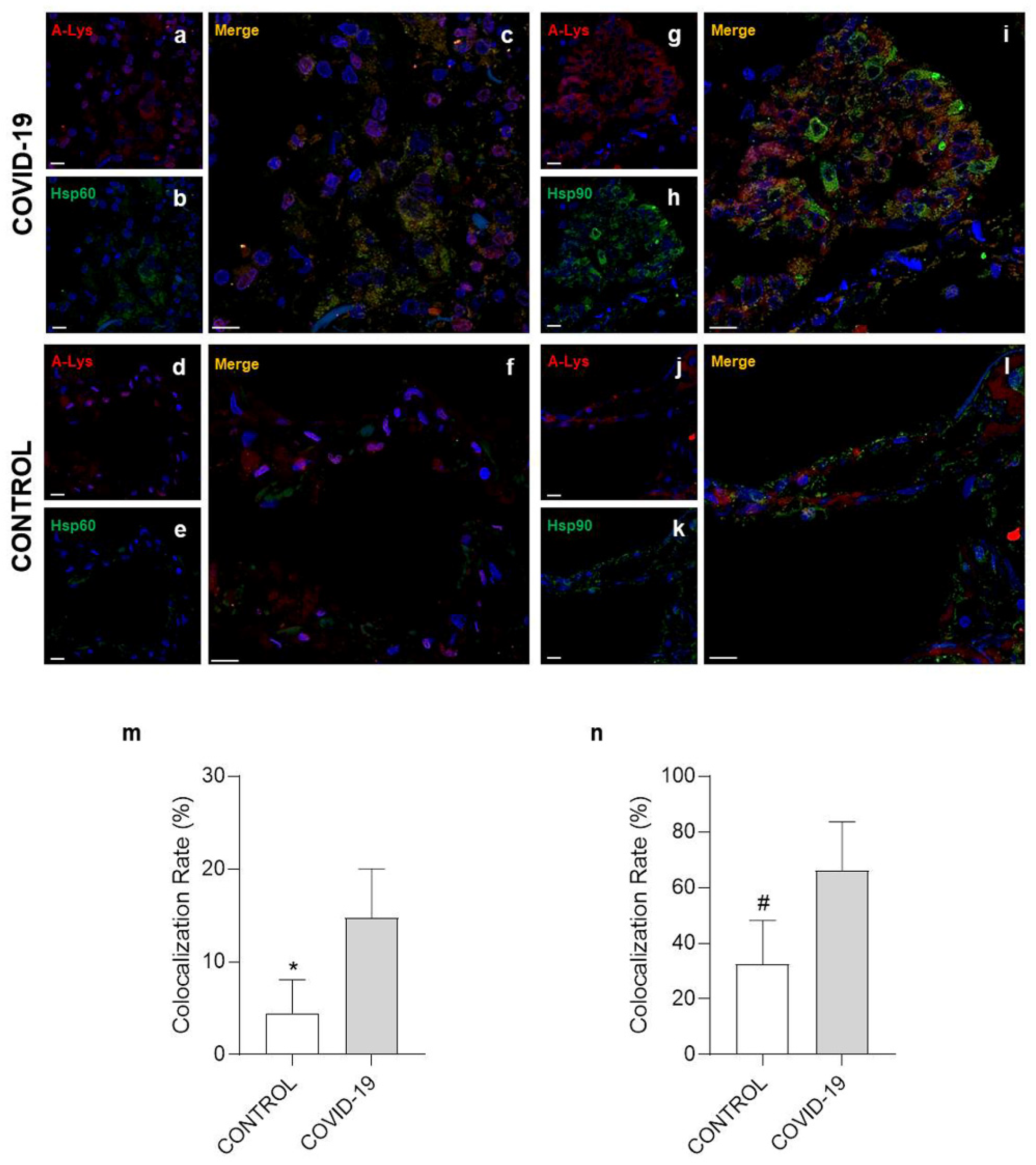Cells 10 03136 g005