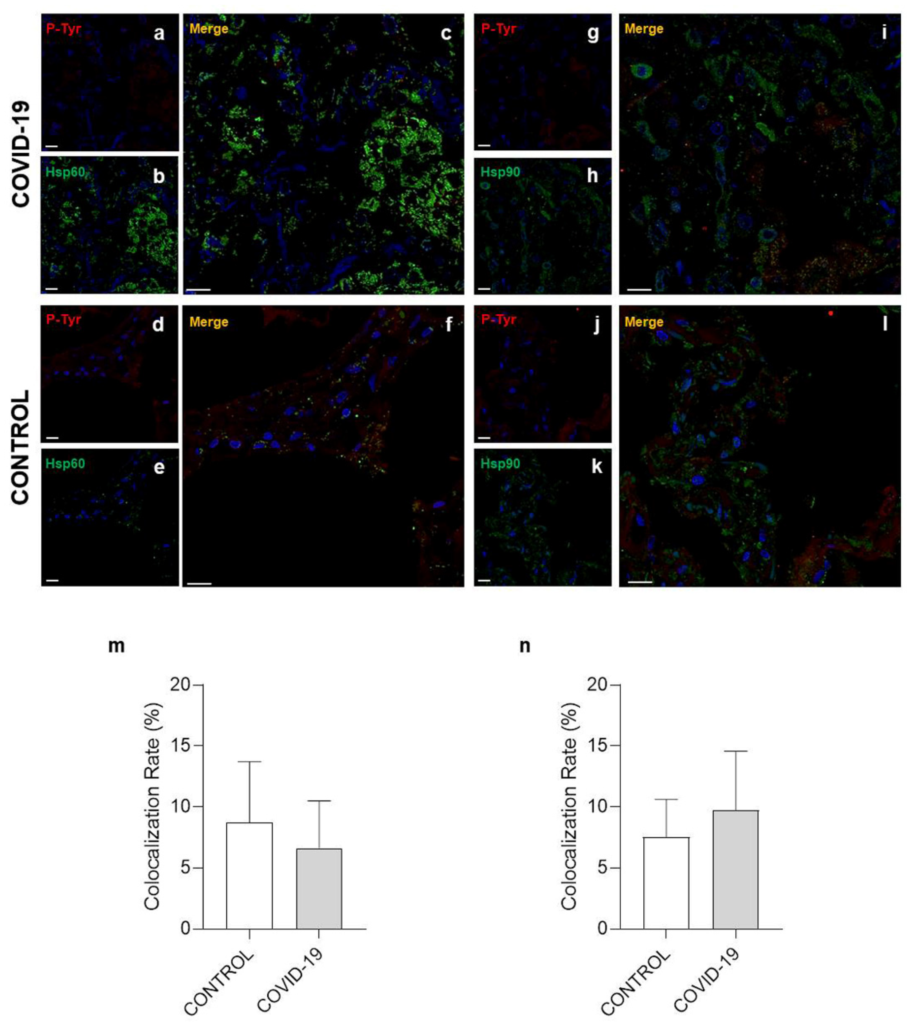 Cells 10 03136 g006
