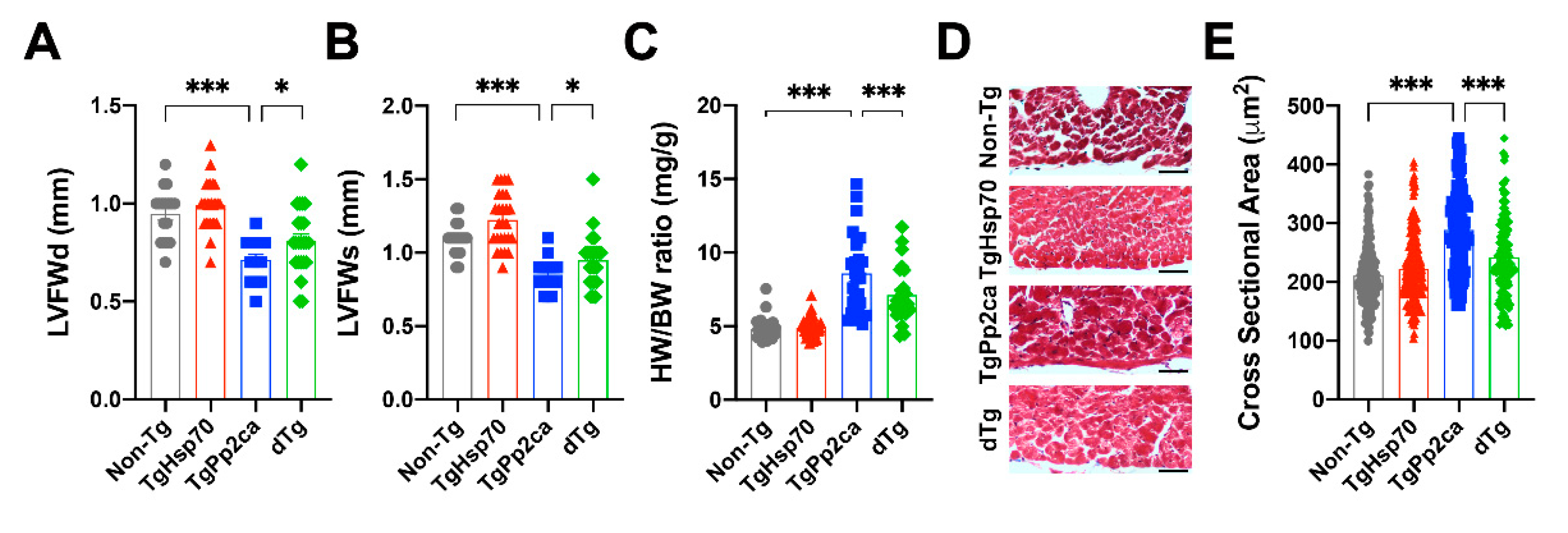 Cells 10 03180 g003