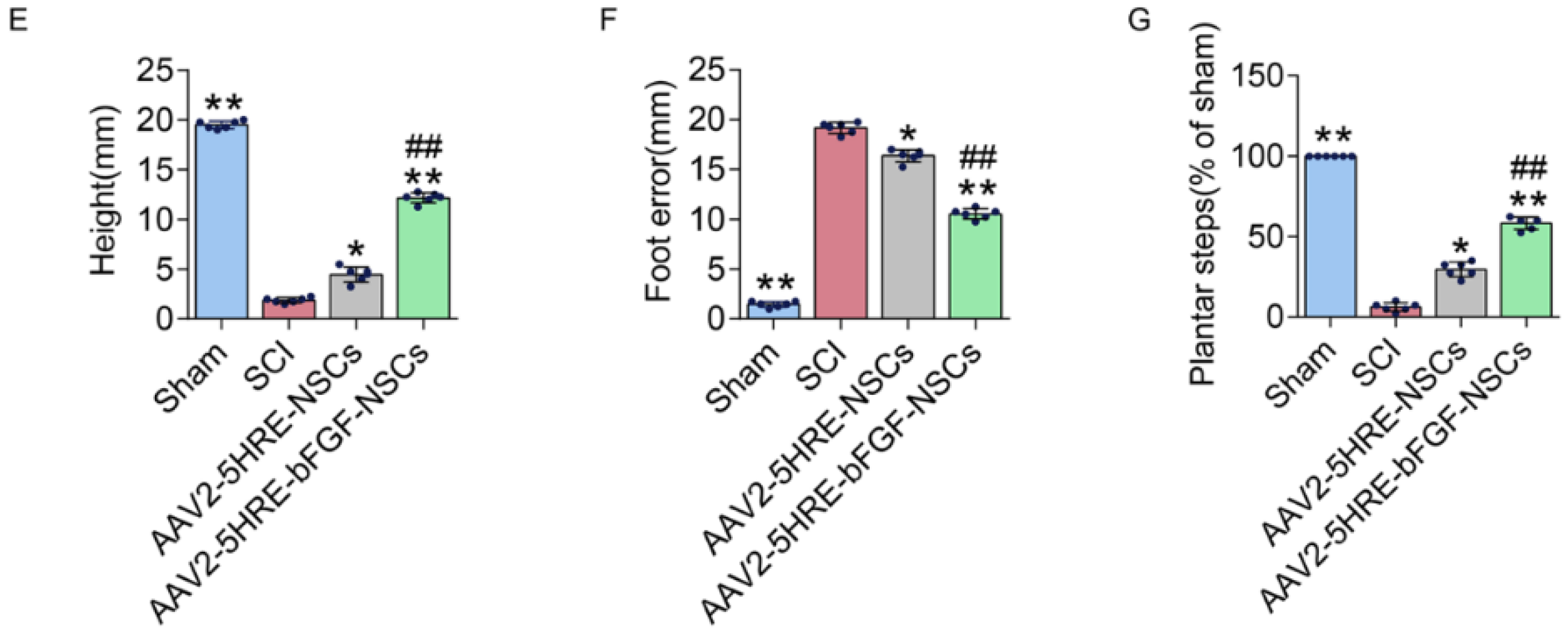 Cells 10 03189 g002b