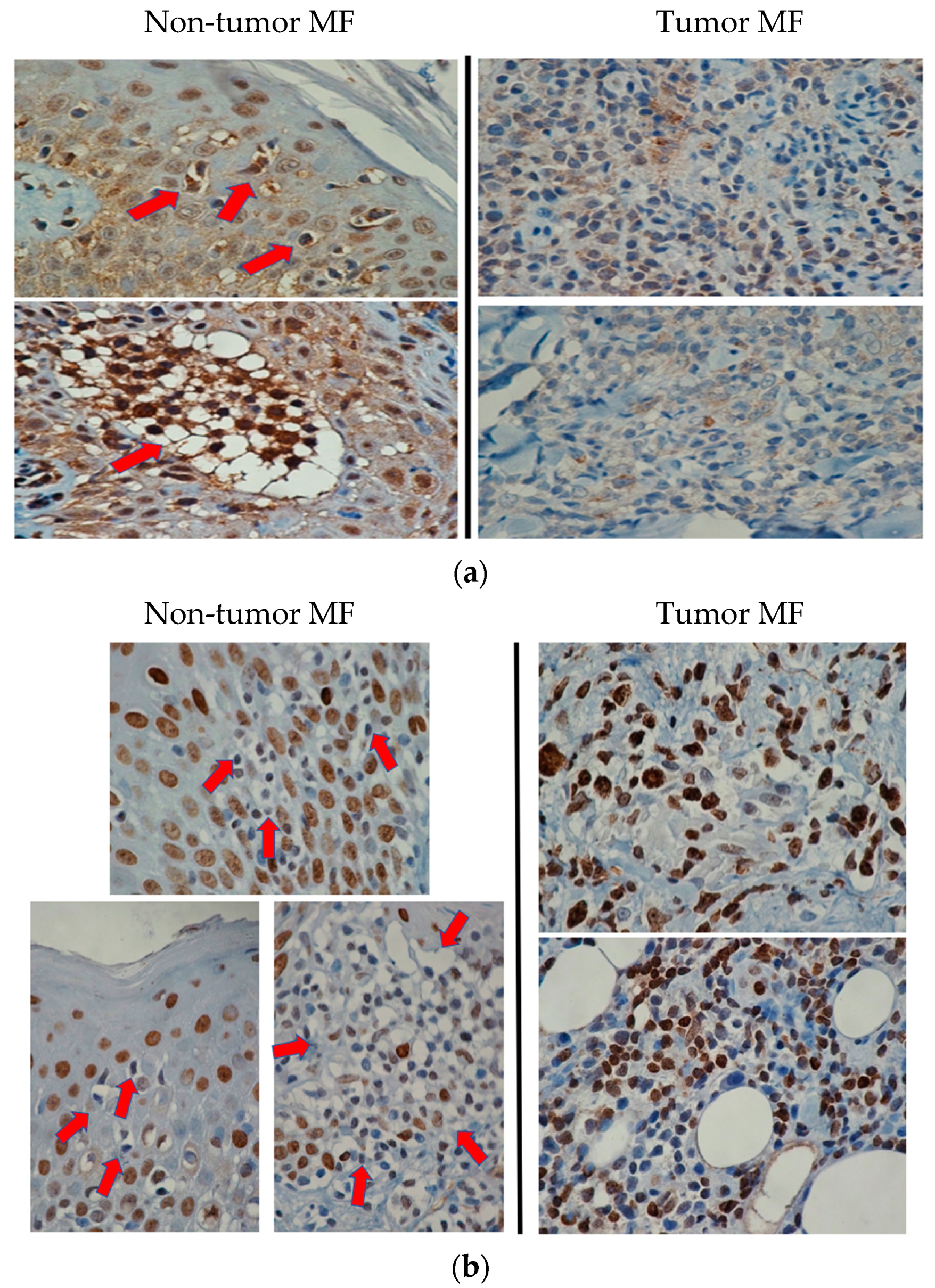 Cells 10 03190 g003