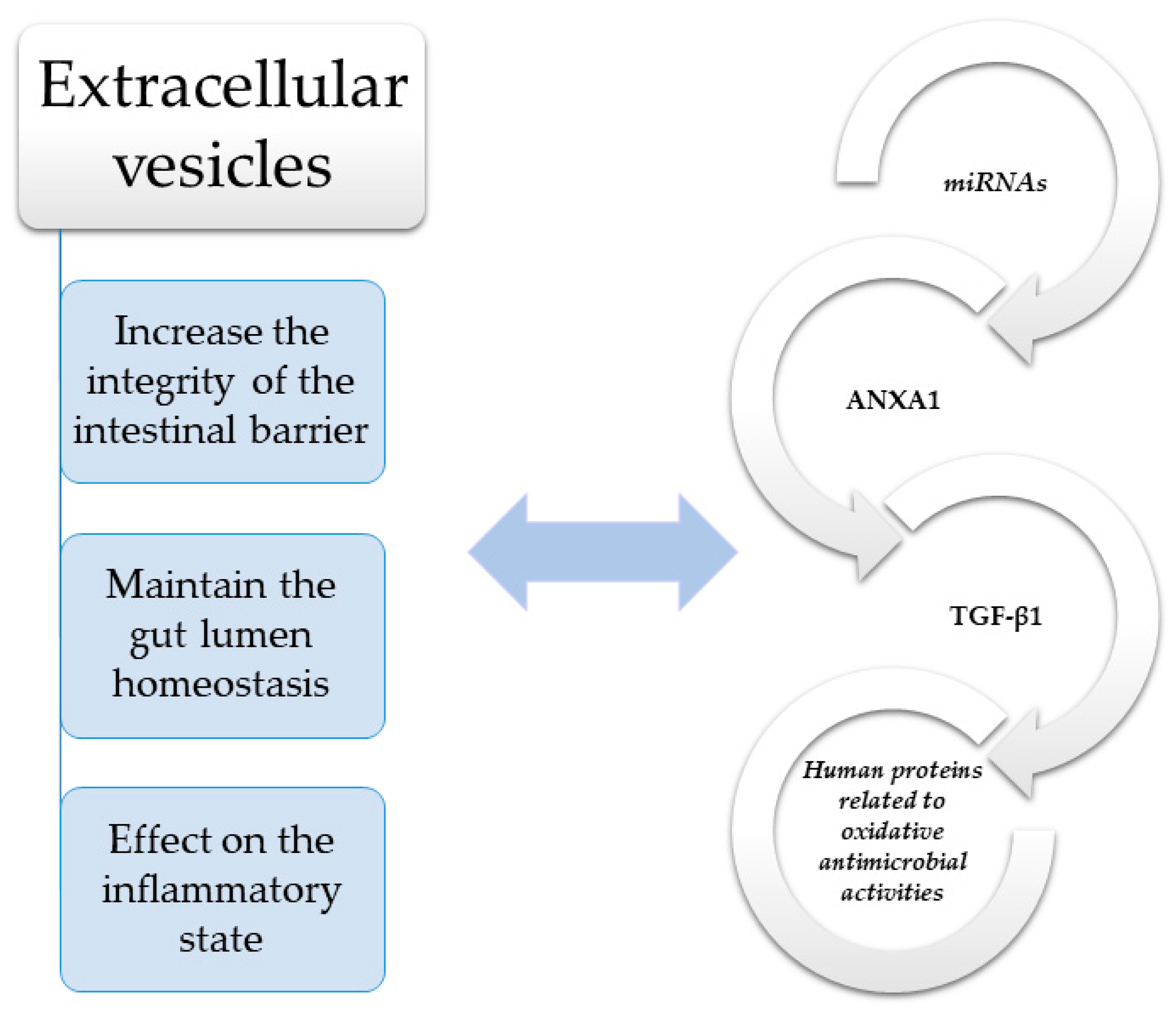 Cells | Free Full-Text | An Update on the Role of Extracellular 