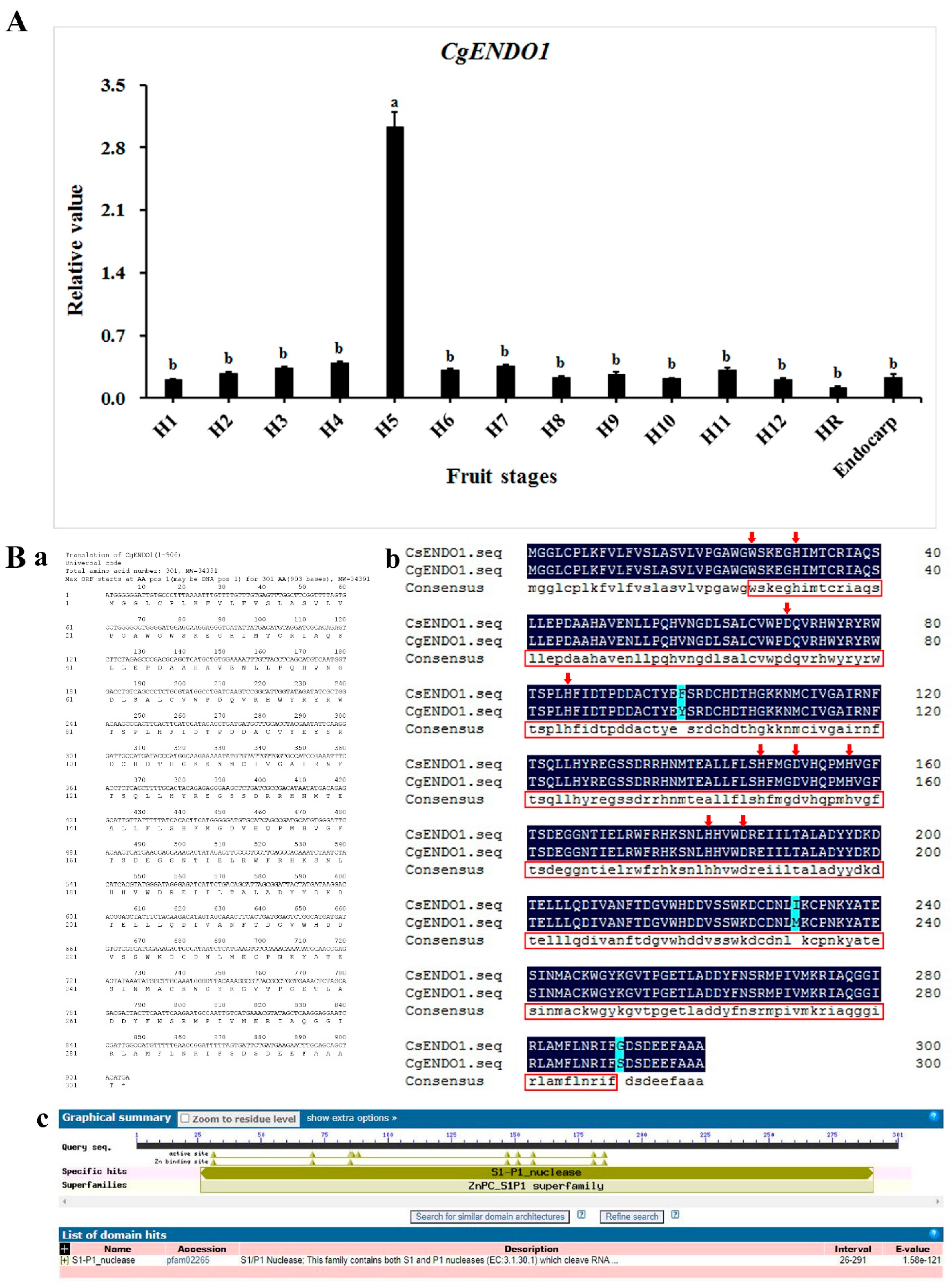Cells 10 03222 g001 Cells 10 03222 g001