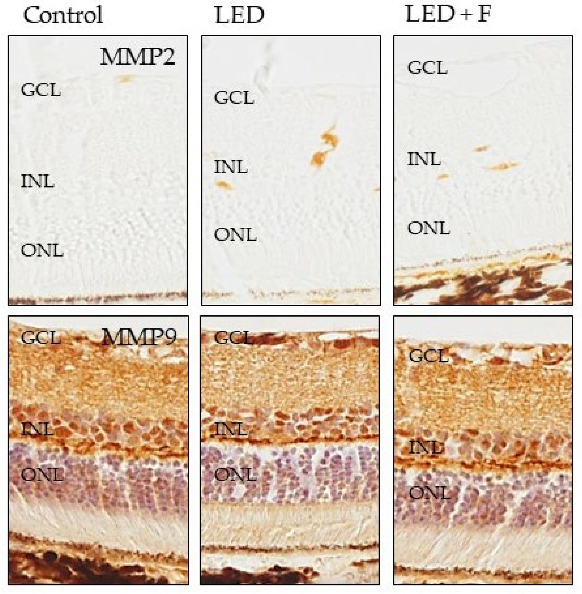 Cells 10 03248 g008