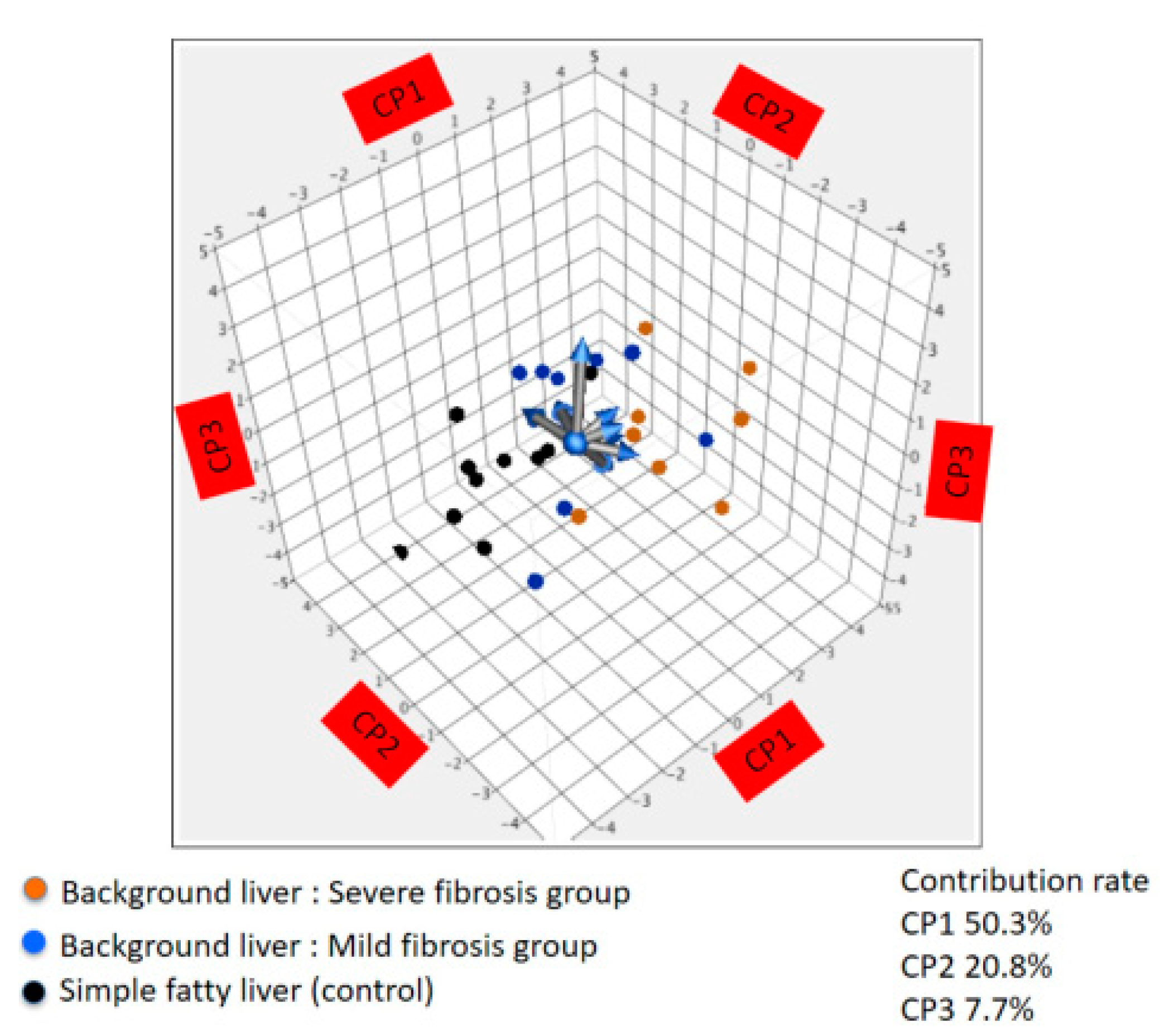 Cells 10 03257 g003 Cells 10 03257 g003