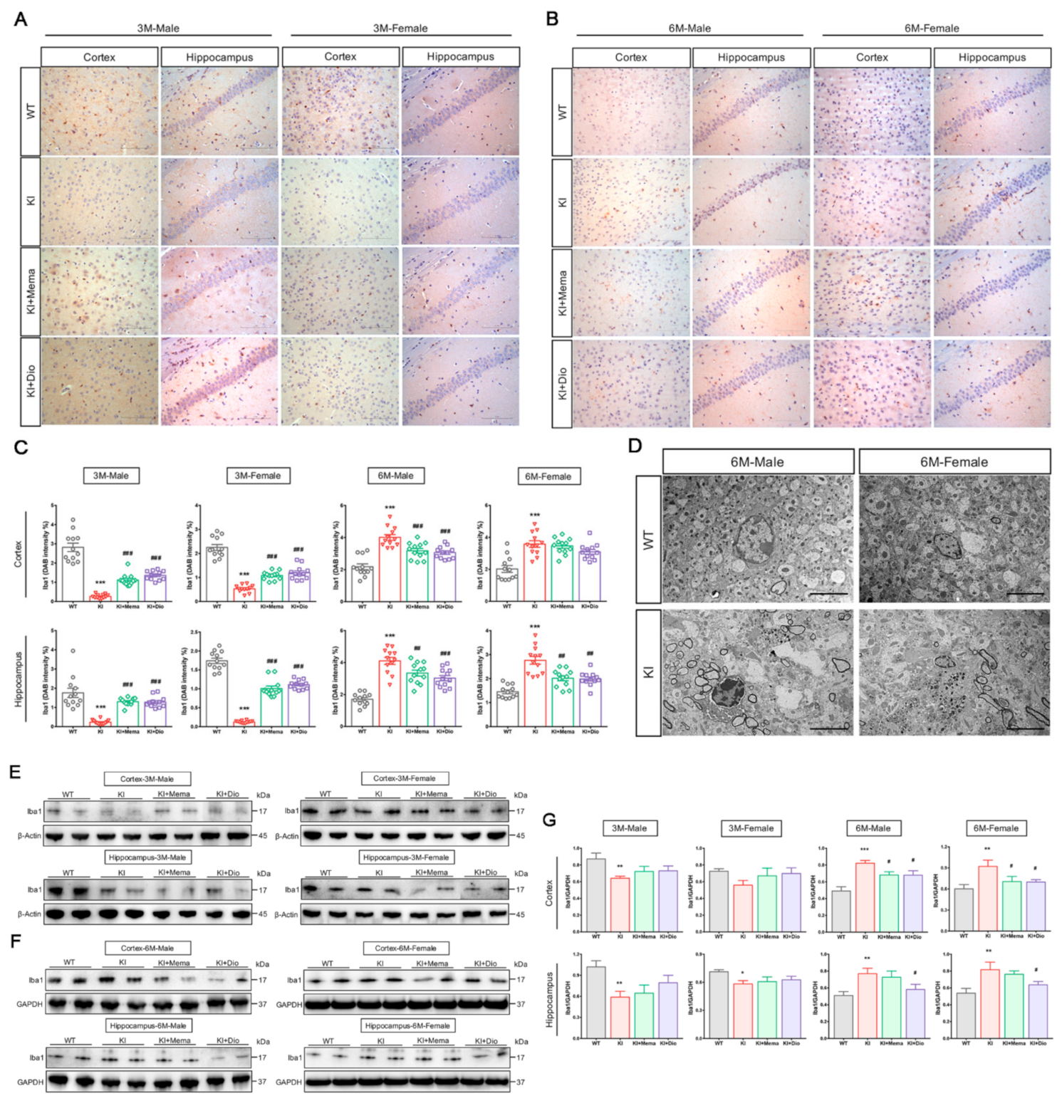 Cells 10 03261 g004a