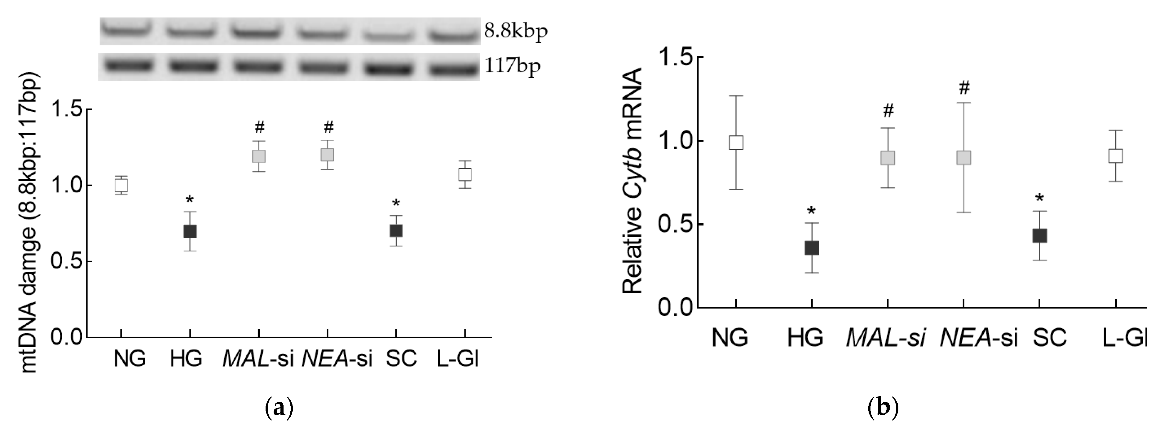 Cells 10 03271 g006