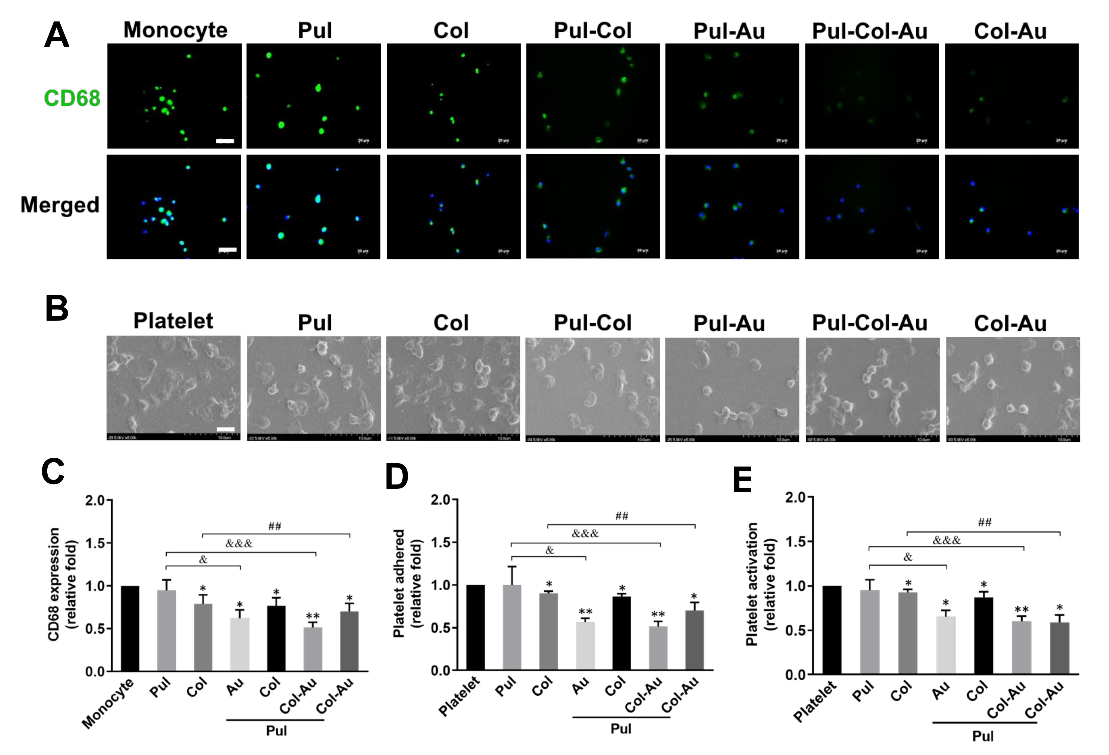 Cells 10 03276 g004 Cells 10 03276 g004
